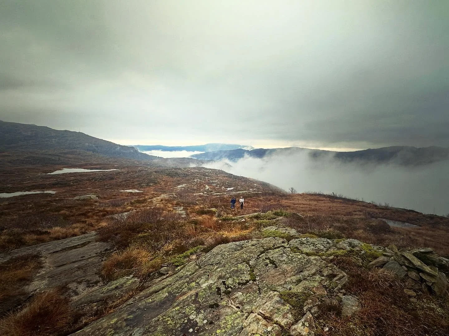 I was so sure that fog was going to lift by the time we got to the top 🙈

#hikingadventures #kvamskogen #utp&aring;tur #fjelltur #mountainviews #hyttelivet #fjellhytte #fjelltid #mountainhike