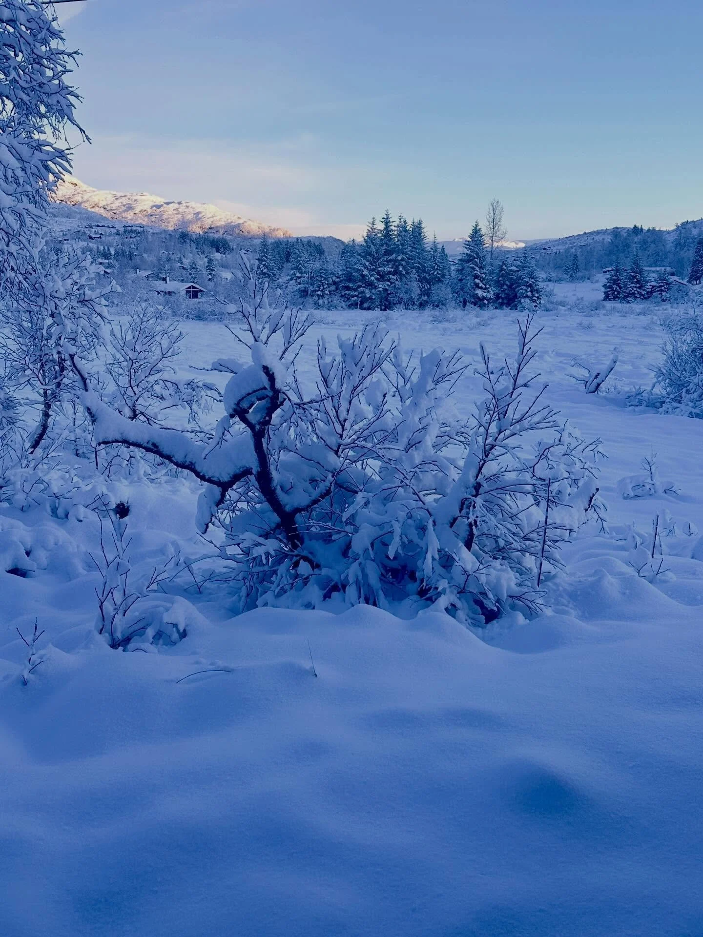 The snow storm might have spoiled the fireworks last night but it was definitely worth it for this beautiful winter wonderland today ⛷️❄️☃️
A lovely start to 2026. 
#kvamskogen #winterwonderland #norway