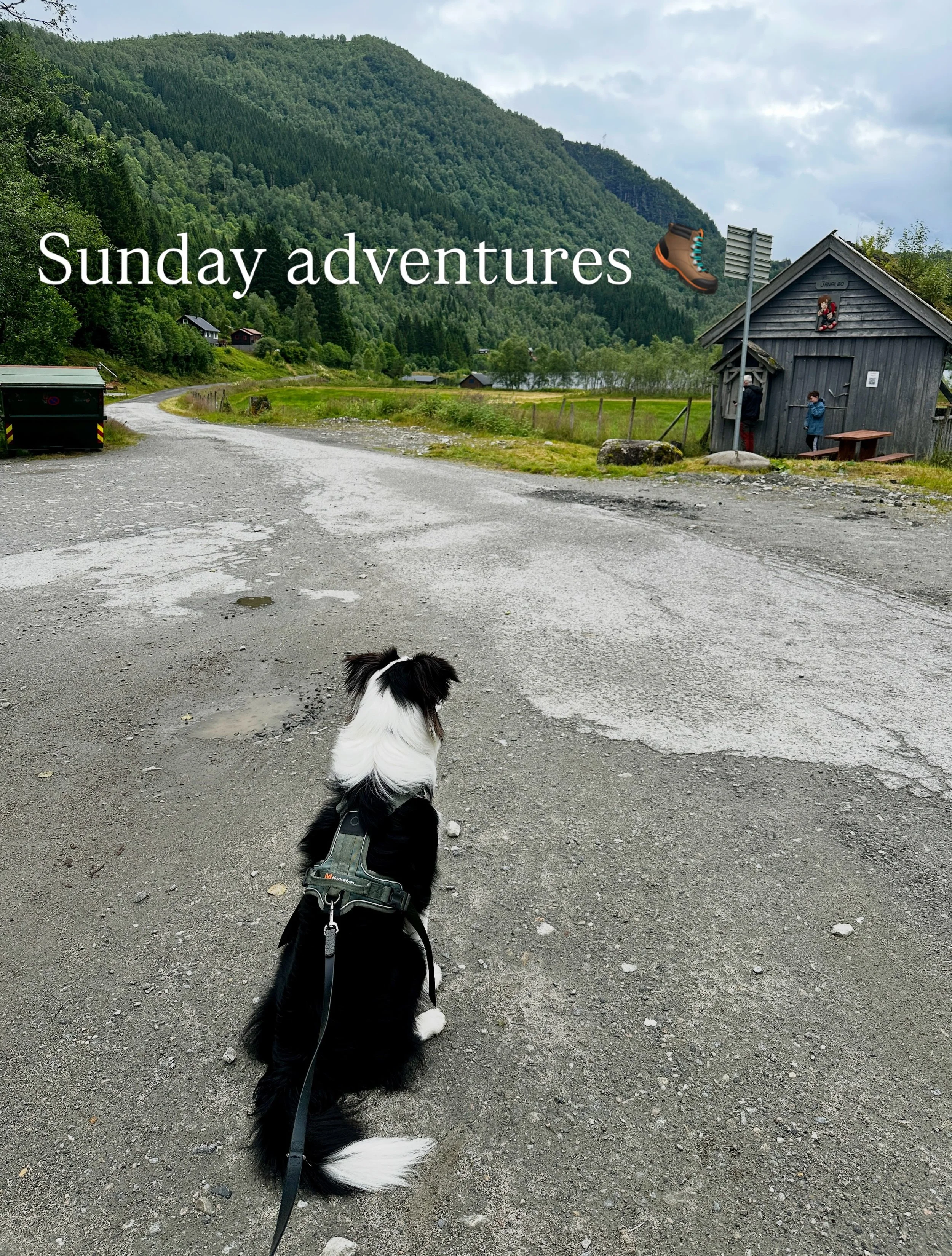Always exciting to find beautiful new places to explore 🥾🗺️⛰️

Norway. Hiking. Summer.
