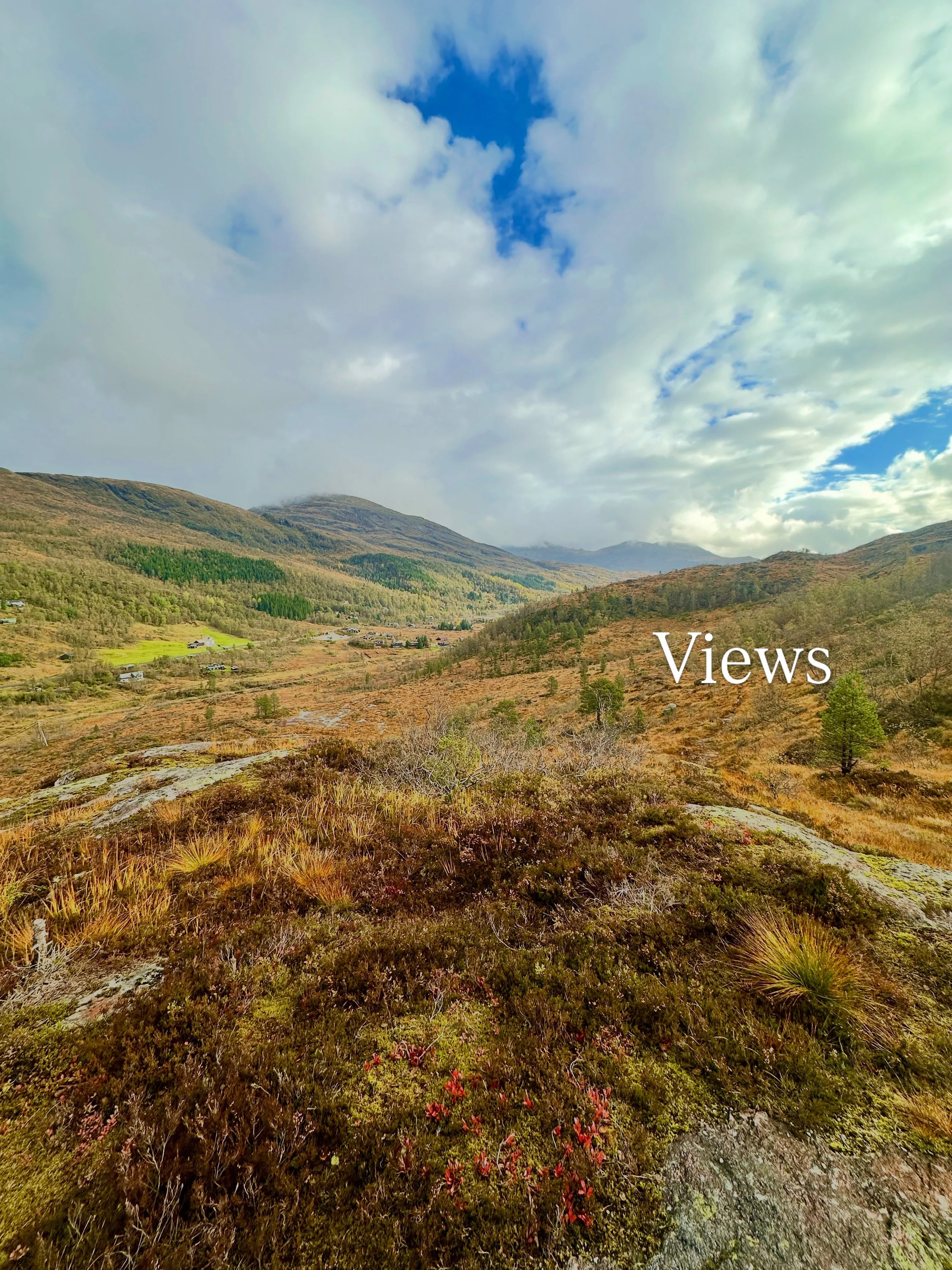 Morning in the mountains ⛰️, afternoon in the &laquo;studio&raquo; (aka the kitchen worktop) 🎨

Norwegian landscape . Mountains . Hiking . Landscape painting . Border collie . Kvamskogen