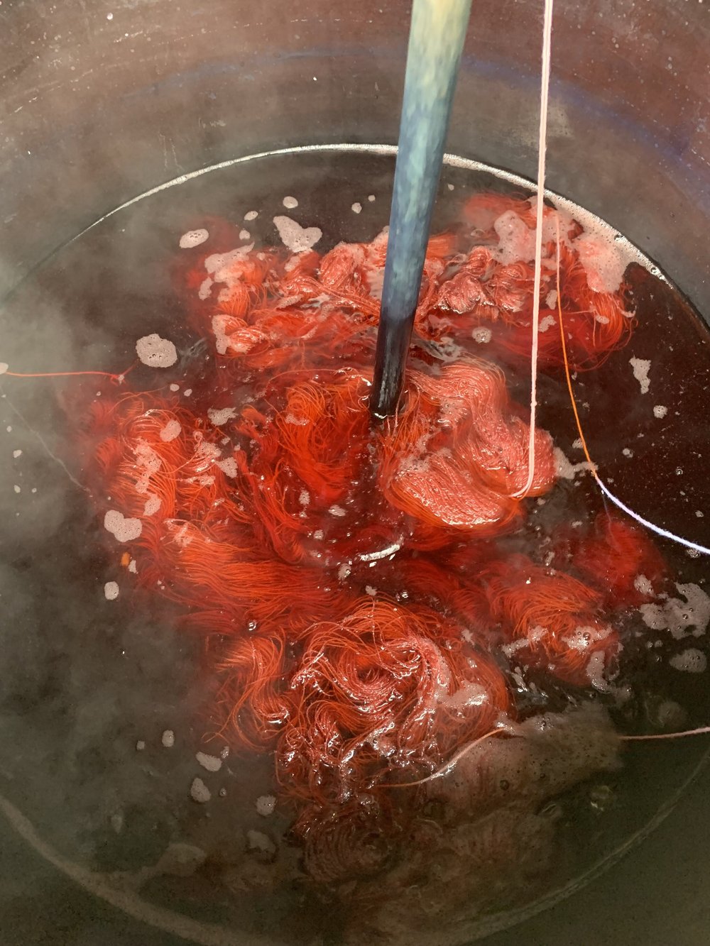 Natural Dyeing with Ria Burns