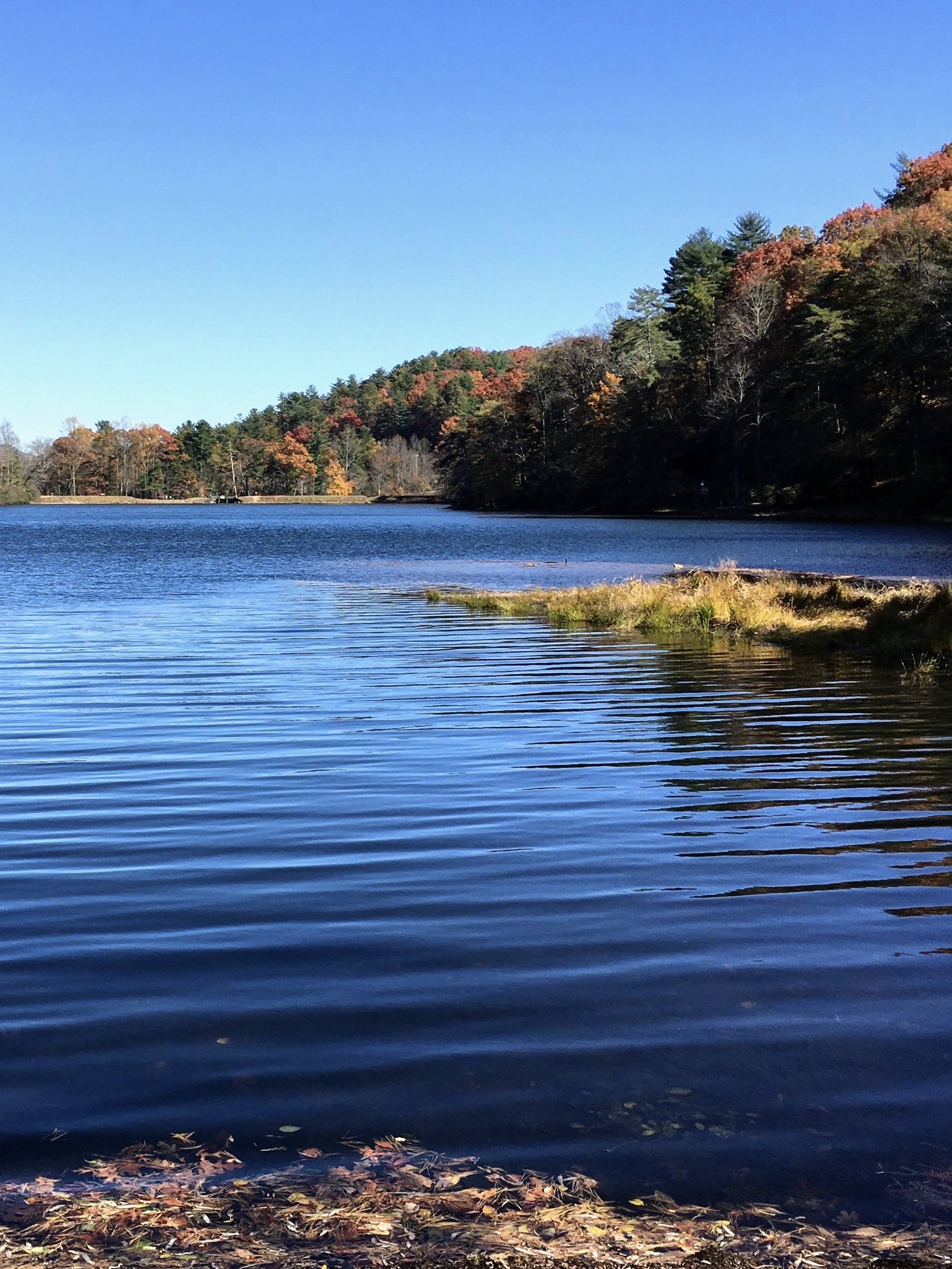 Fall in the Mountains
