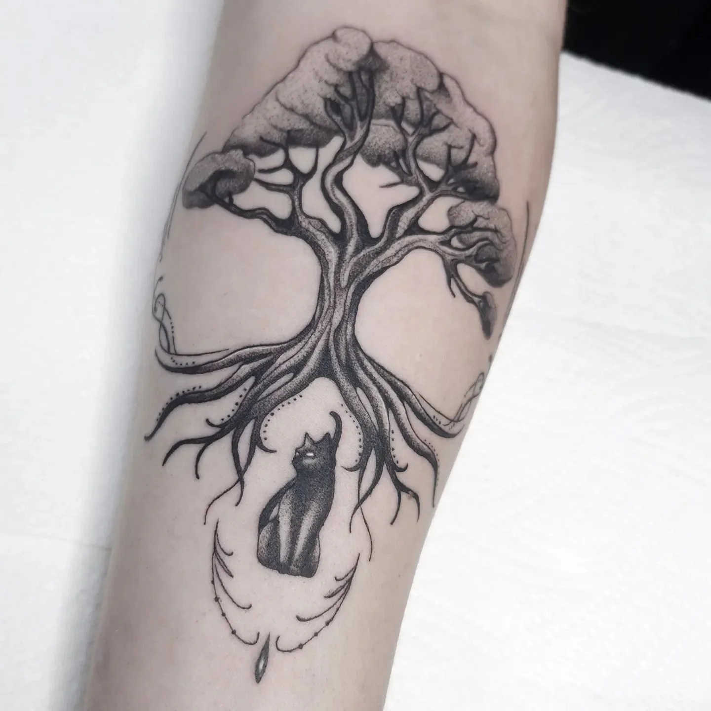 ✨️🌳✨️🐈‍⬛️✨️
.
.
#tattoo #blacktattoo #blackwork #blackworkwers #blackworktattoo #3rl #dotwork #dotworkers #dotworktattoo #cattattoo #blackcat #treetattoo #knotwork #fineline #finelinetattoo #tattoosforwomen #tattoosforgirls #tattoosofinstagram