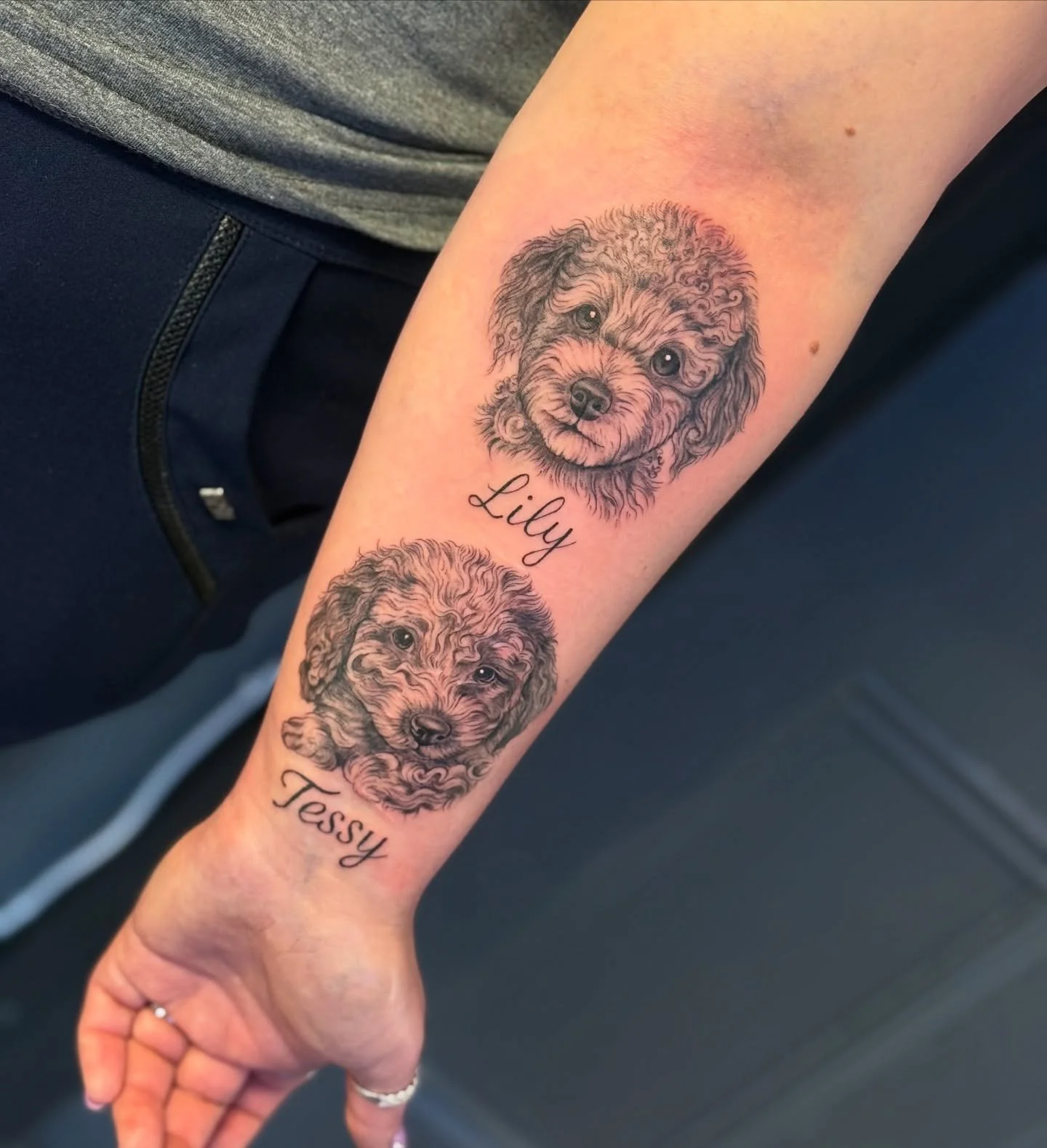 What an absolute pleasure to tattoo these little dogs 🥰
Thank you so much for your trust Aga ✨
#newtattoo #dogstattoo #dogsportrait #realistic #blackandgray