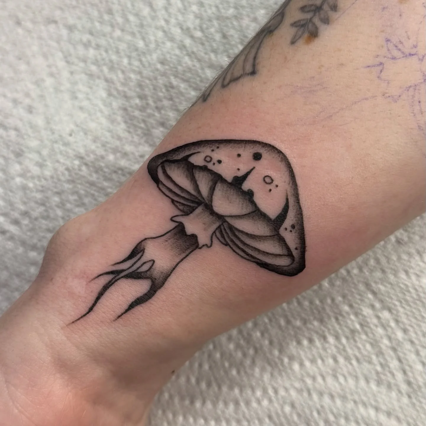 🐜lil bits🐜
.
.
.
.
.
#mushroom #mushies #mushroomtattoo #tattoo #tattoos #blackandgreytattoo #simpsons #homer #simpsonstattoo #simpsonswave #homertattoo #boxer #boxing #script #scripttattoo #cottagecoreaesthetic #cottagecore #célavie #gothic