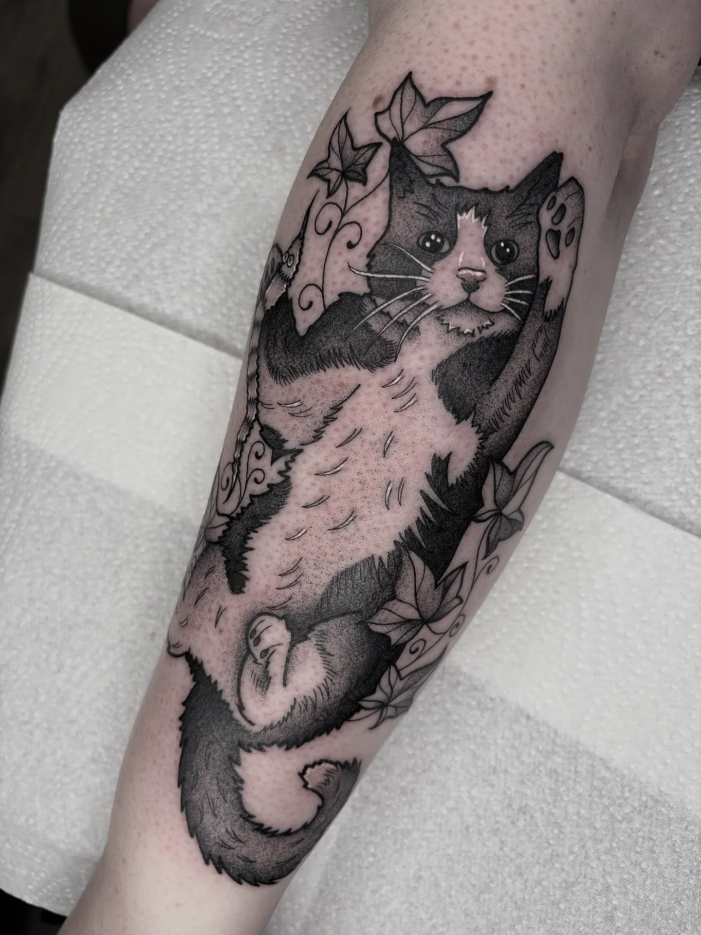 I had soooo much fun tattooing @megan_rooney_ &lsquo;s little kitty cat and his fav worm toy 🥲🐈&zwj;⬛🖤 

Message me to book in!
✨Blackwork/ornamental/dotwork tattoos✨ 

#belfast #belfasttattoo #belfasttattoos #cattattoo #pettattoo