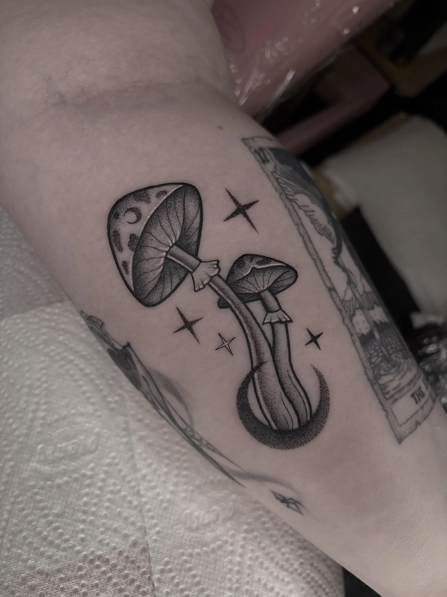 Mushhyyys 🍄❤️ done at the @ennis_tattoo_convention 🫶🏻

Message me to book in!
✨Blackwork/ornamental/dotwork tattoos✨ 

#belfast #belfasttattoo #belfasttattoos #mushroomtattoo