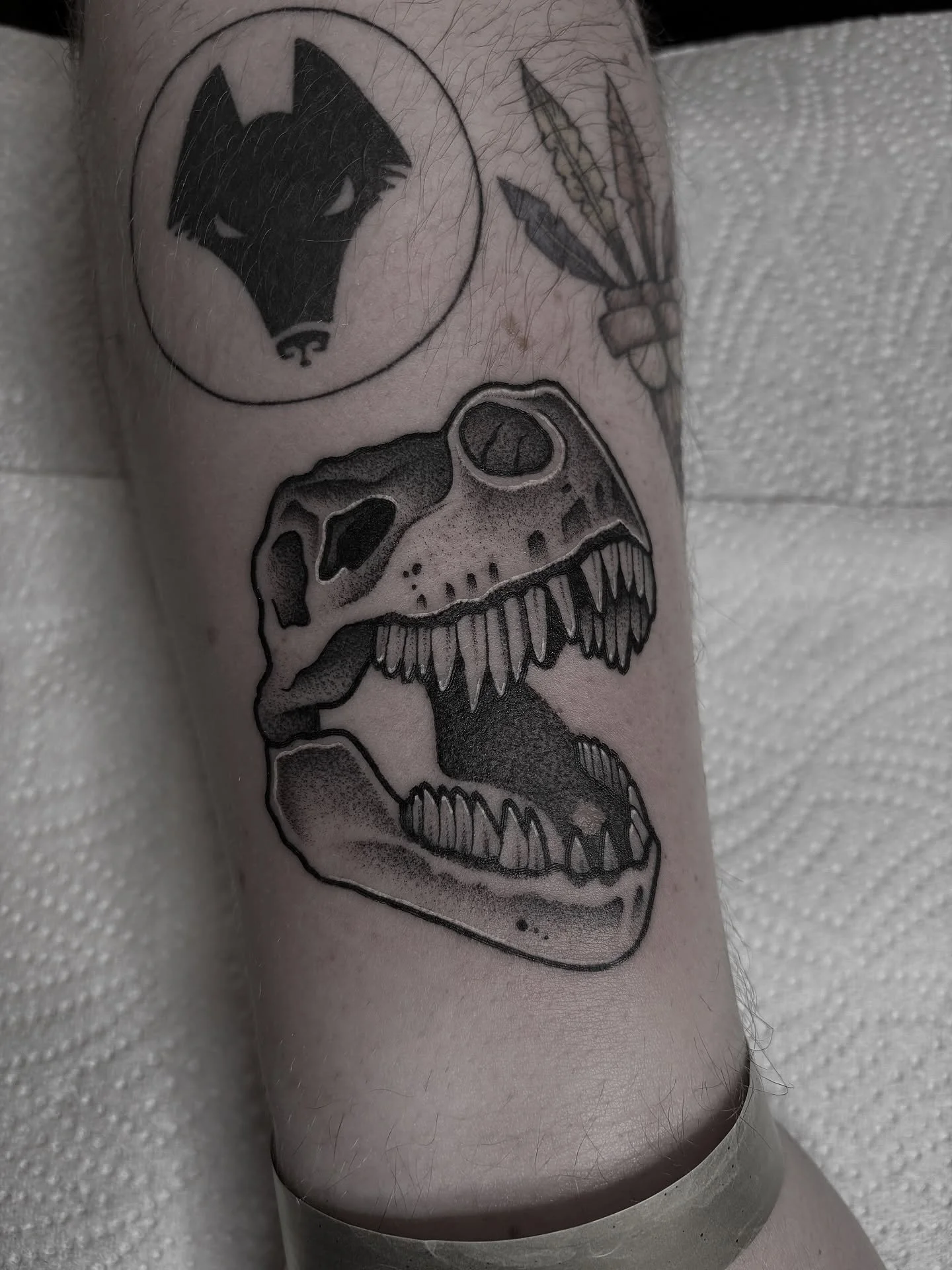 Two dino skulls I got to do at the @ennis_tattoo_convention !! Dinosaur tattoos always have a place in my heart 🦖

Triceratops skull on the lovely and talented @chelsea.skye.tattoo !! Thank you for trusting me with your ditch 😅🫶🏻 

Message me to 