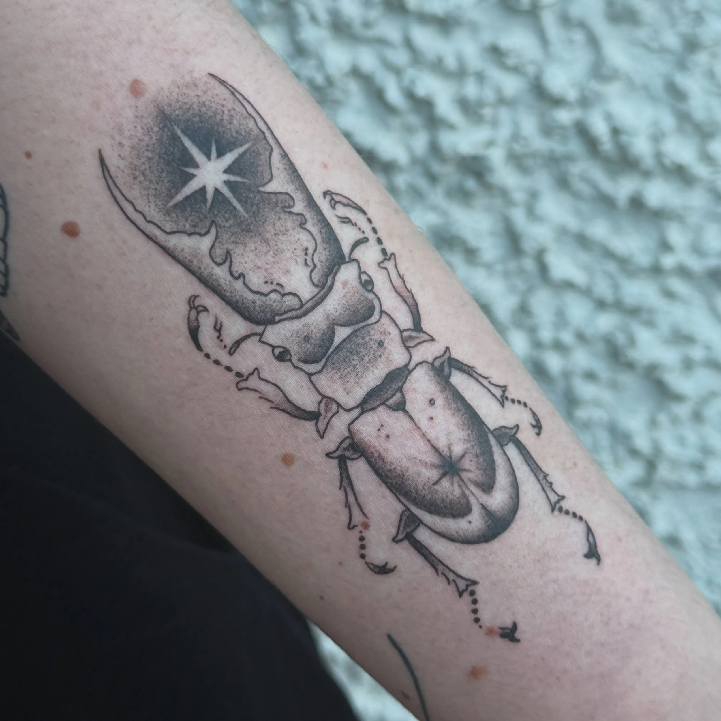 ✨Star Beetle✨
.
.
Great craic tattooing this beetle @thebundorantattooconvention 
.
#beetle #star #blackwork #tattoo #beetletattoo