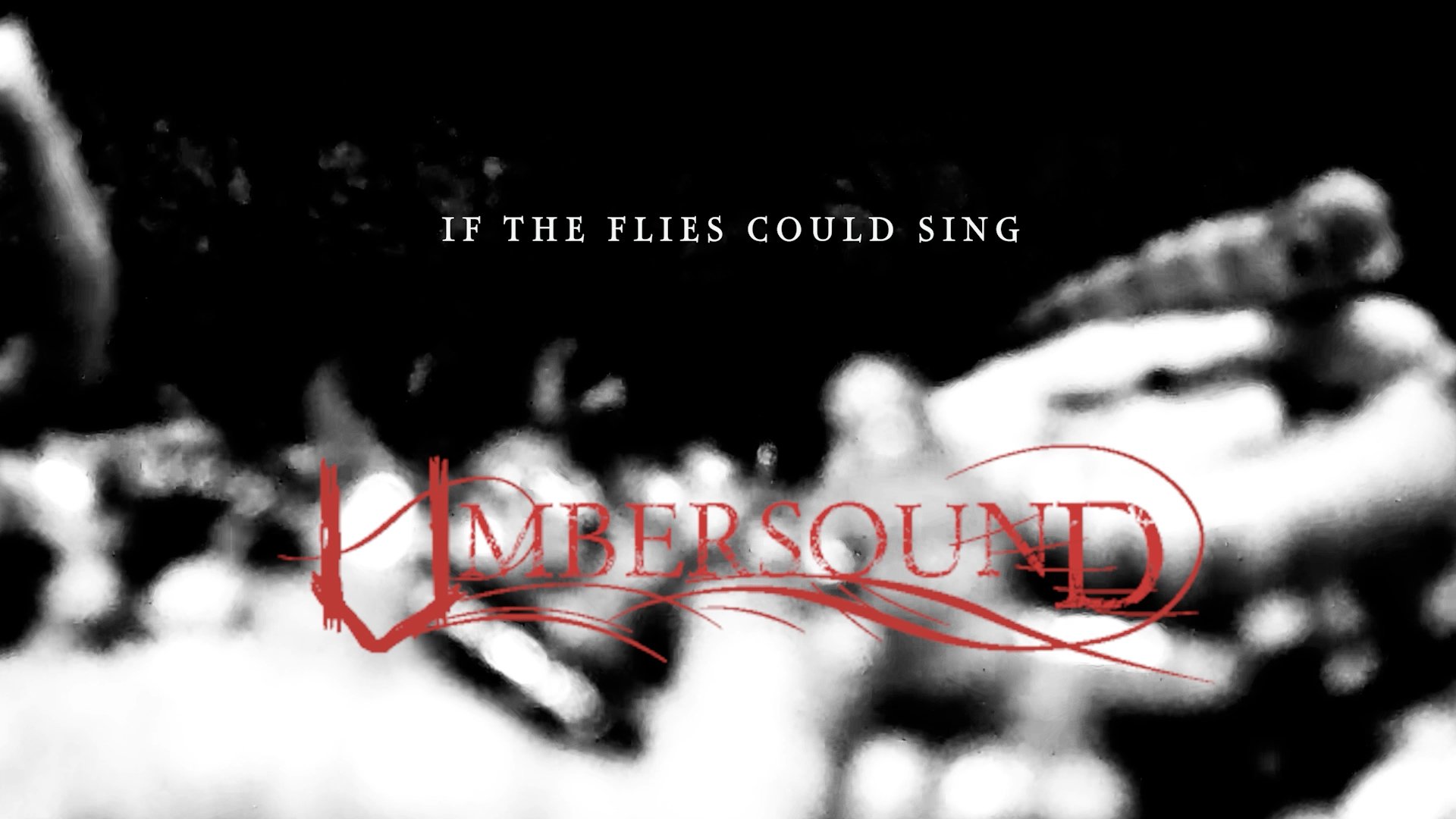 Umbersound_If_The_Flies_Could_Sing_Video.mp4.00_04_39_04.Still002.jpg