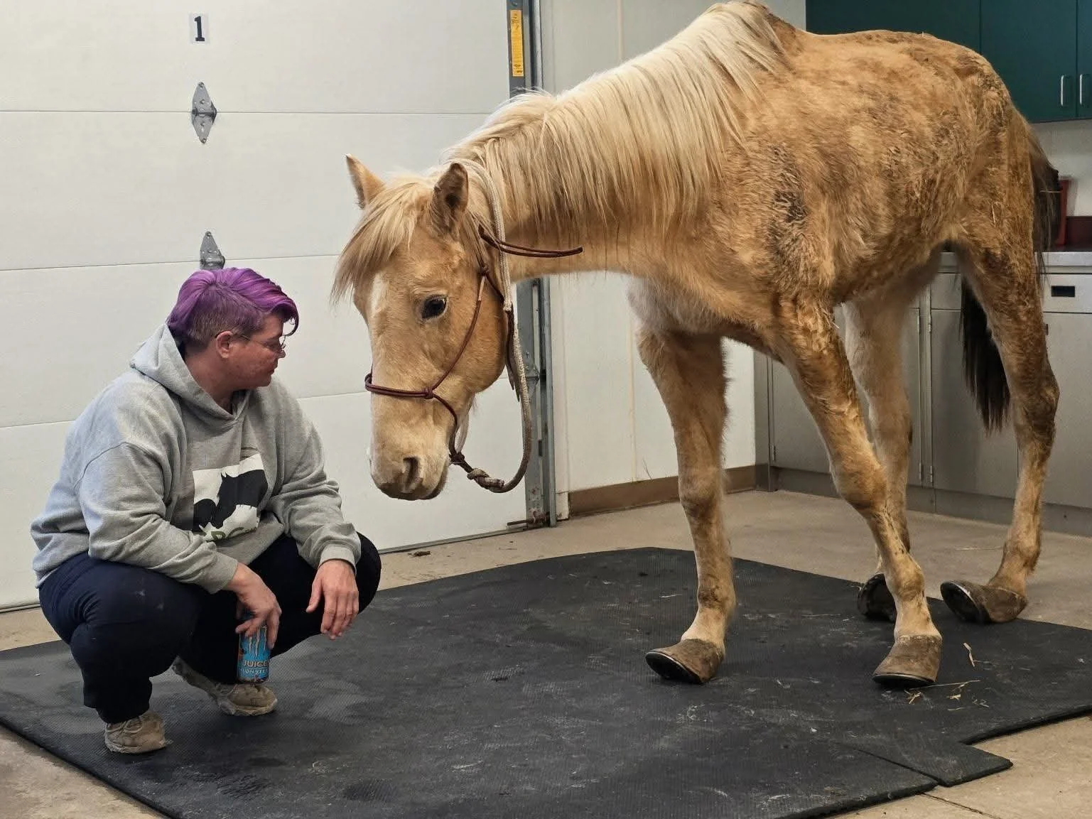 ‘Not Dying’: The Legal Standard of Care