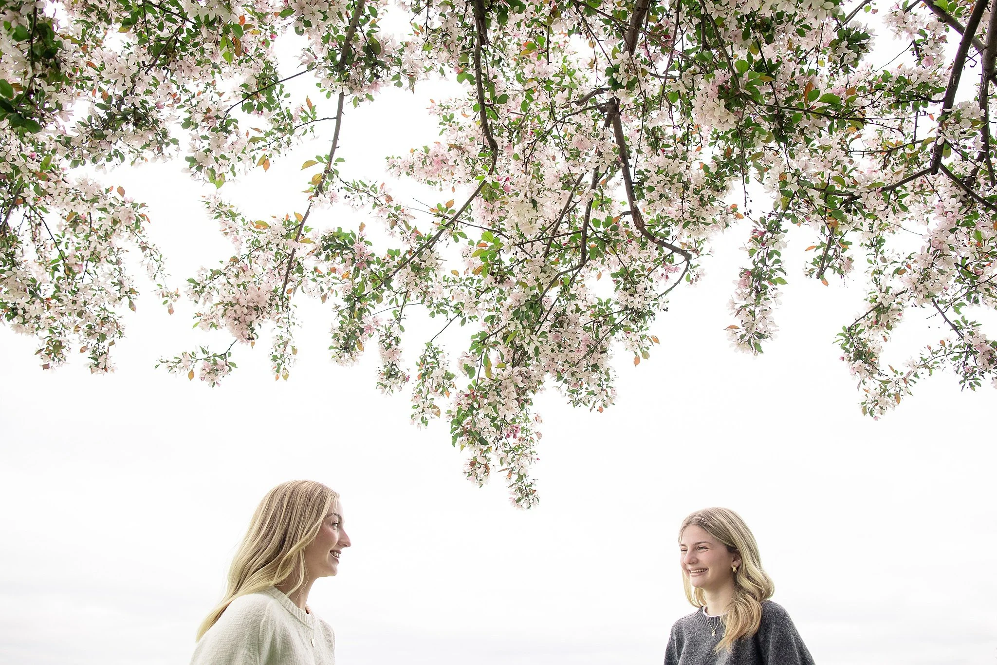 edmonton family photographer 5379.JPG