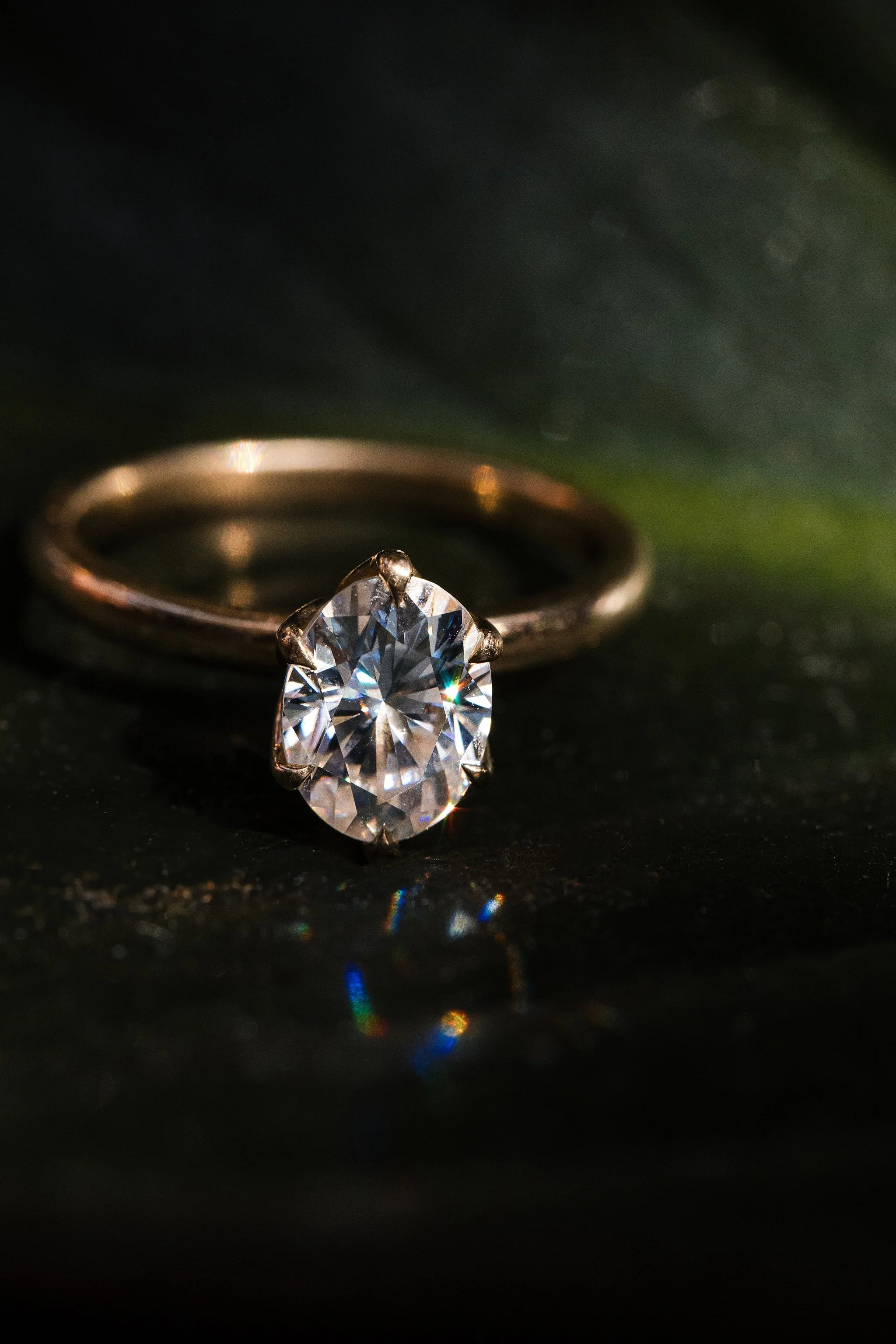edmonton wedding photographer 5538.JPG