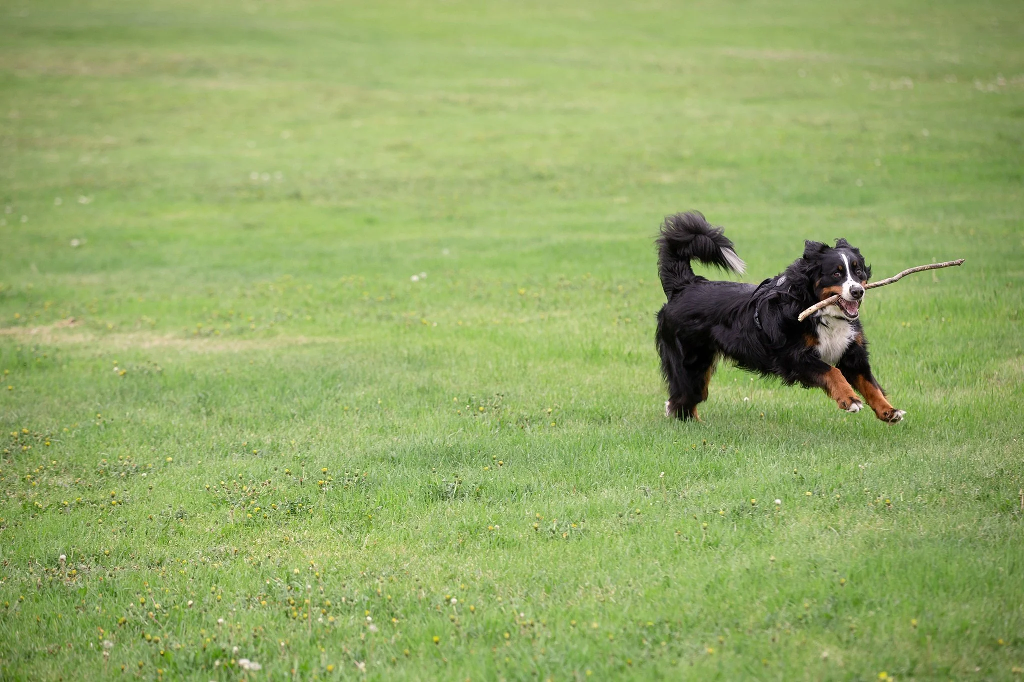 edmonton family photographer 5380.JPG