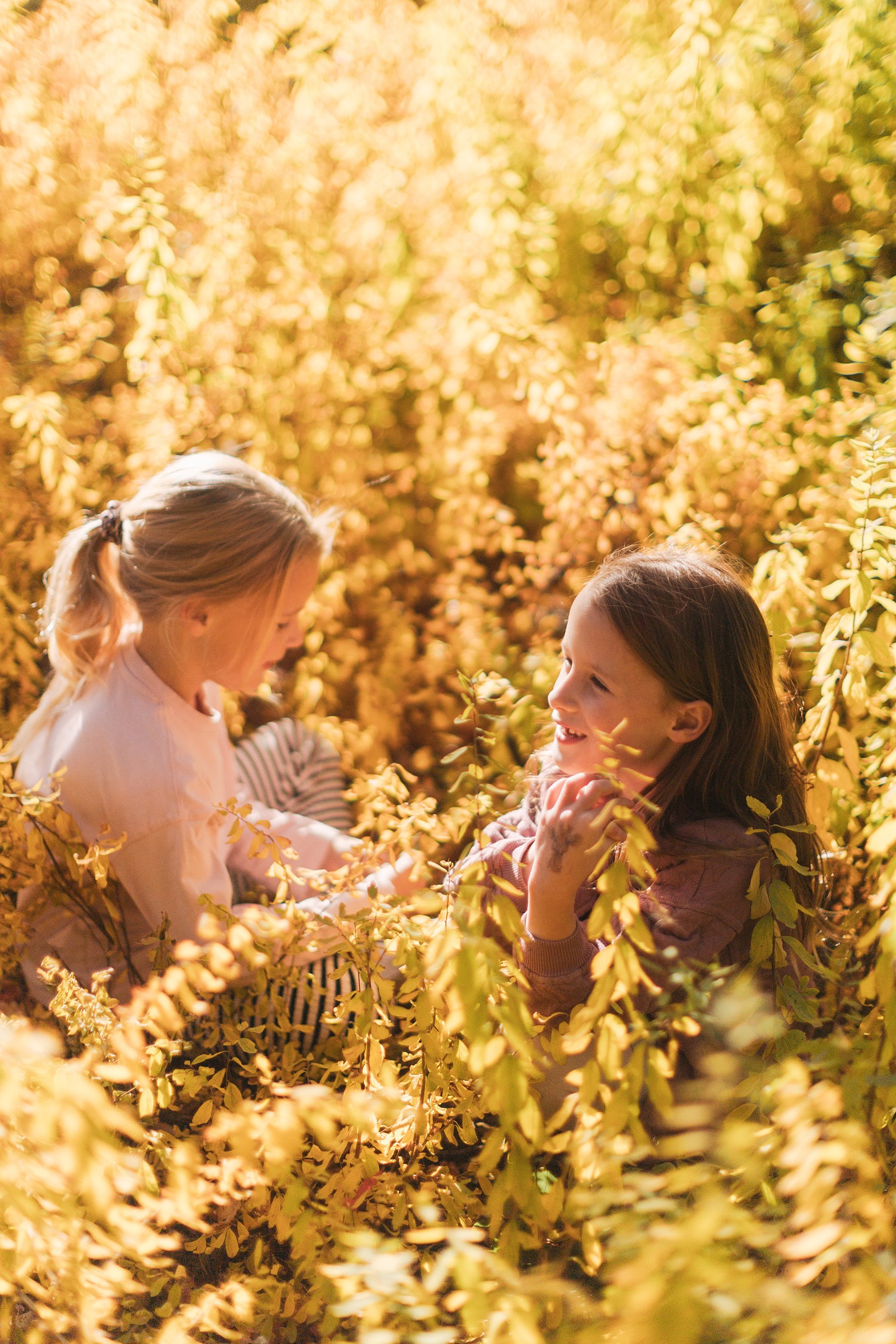 edmonton family photographer 5370.JPG