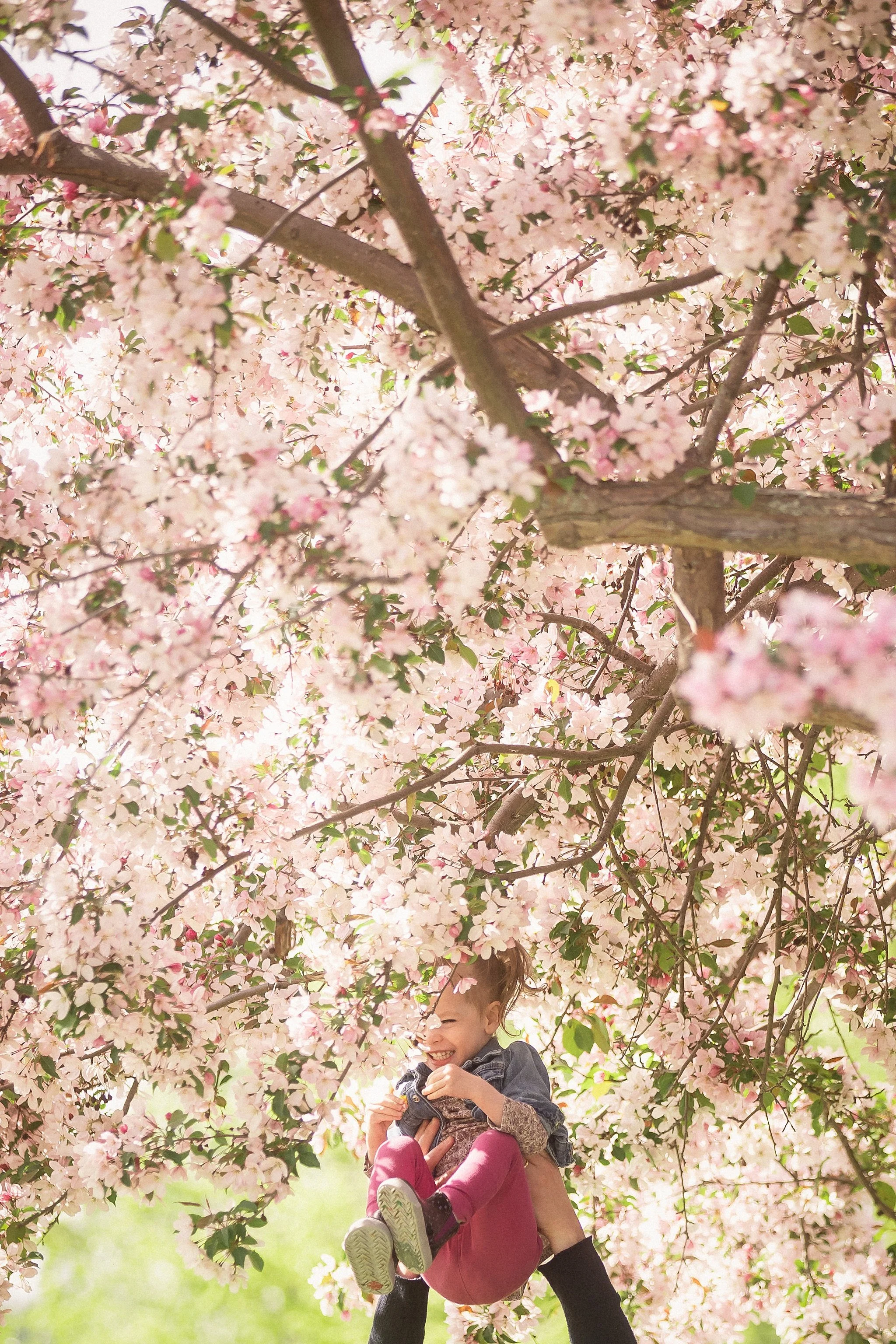 edmonton family photographer 5381.JPG