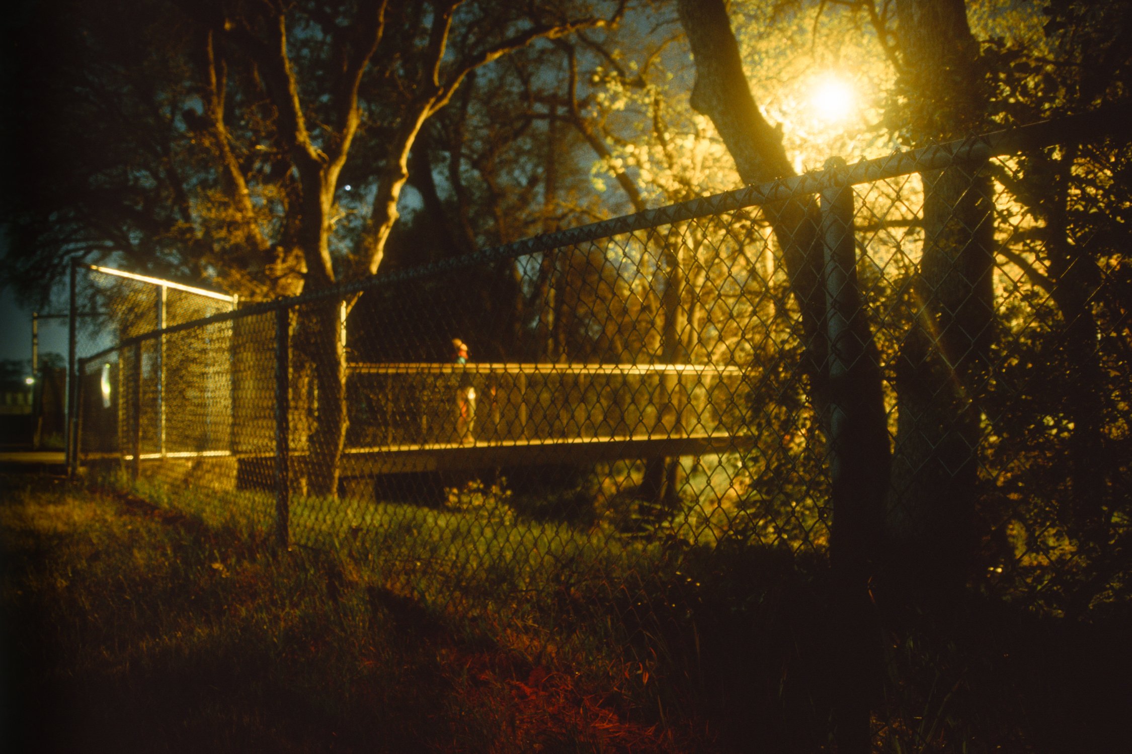 35mm Color Reversal Film