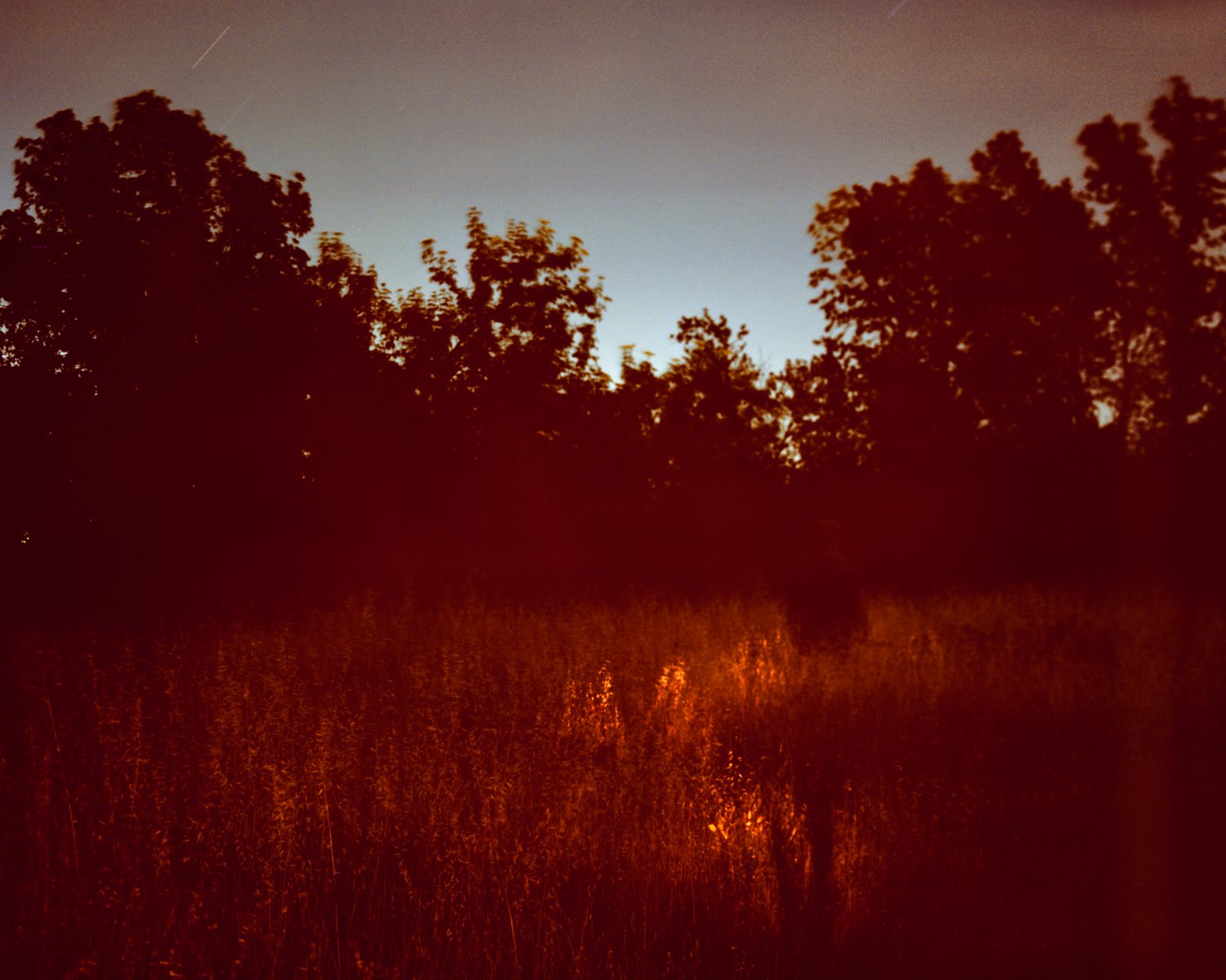 4x5 Color Reversal Film