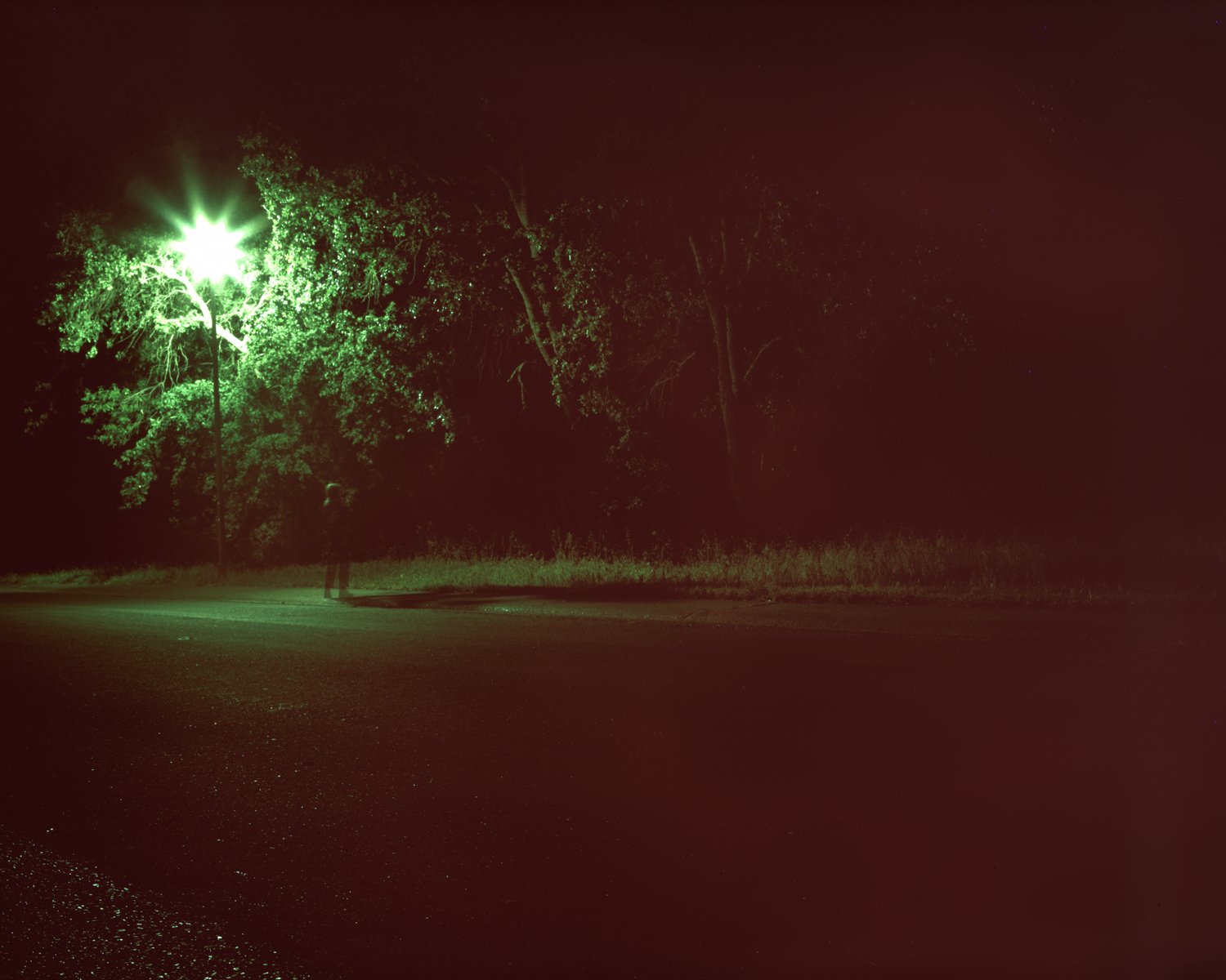 4x5 Color Reversal Film