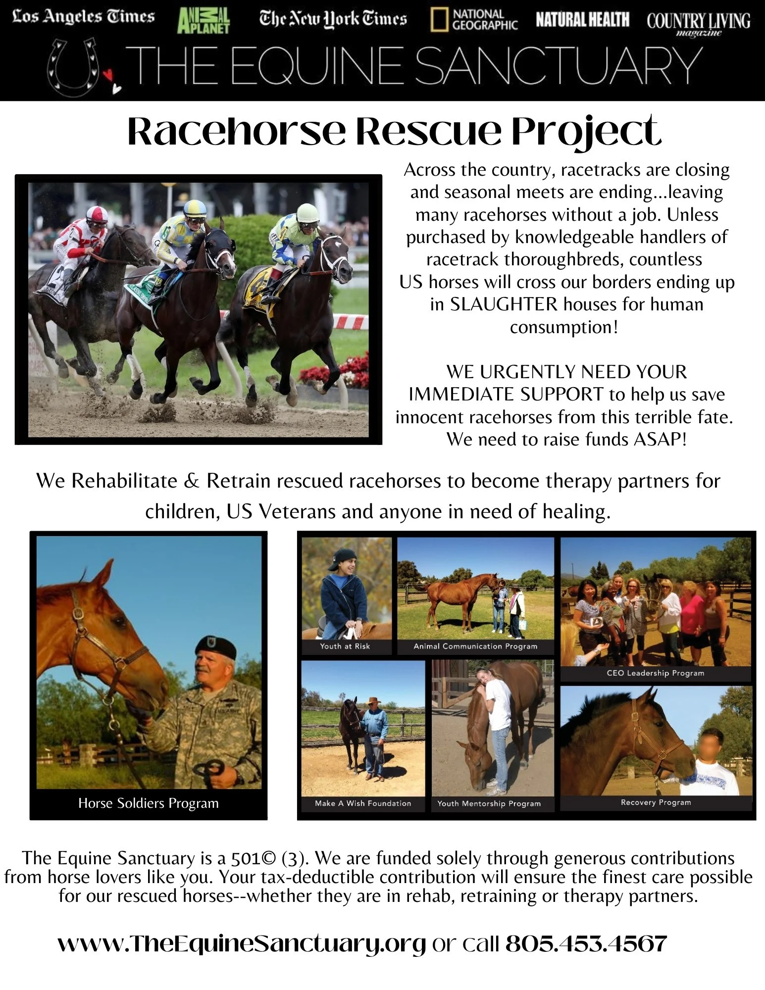 Racehorse Rescue Project — The Equine Sanctuary