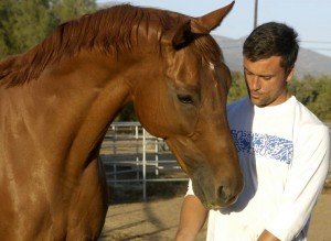 horse-soldier-not-in-uniform-300x219-300x219.jpg