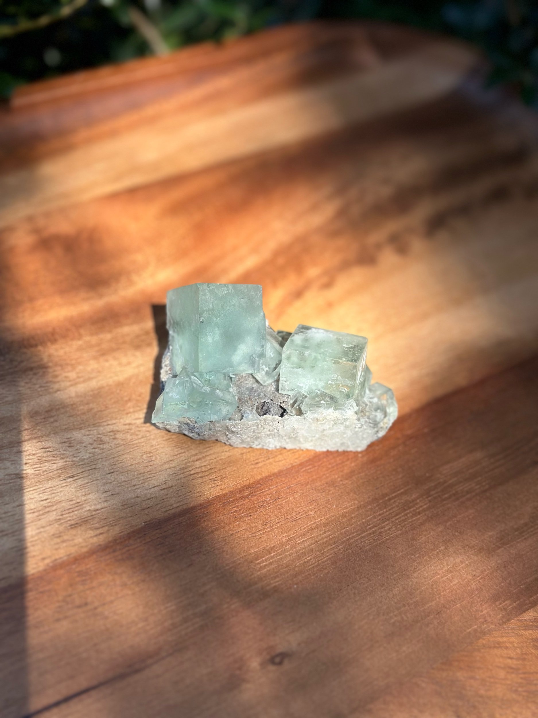 C253F622-CA8E-4C3B-BF7F-954637389228.jpeg