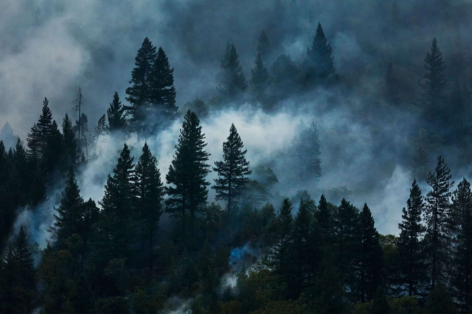 TEST-carr-delta-00260 (1).jpg