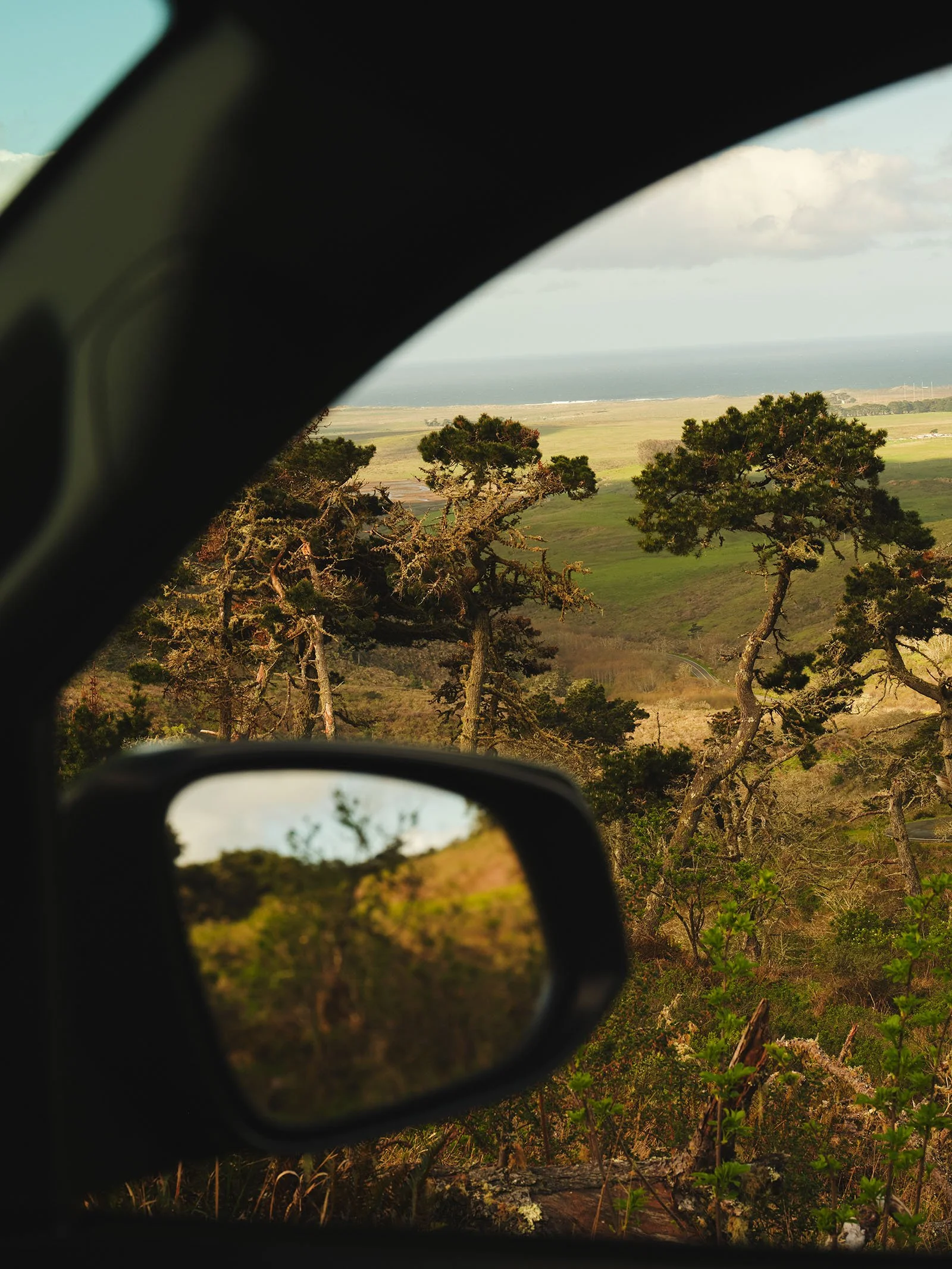 blueshield-enviro-D2-00264 1.jpg