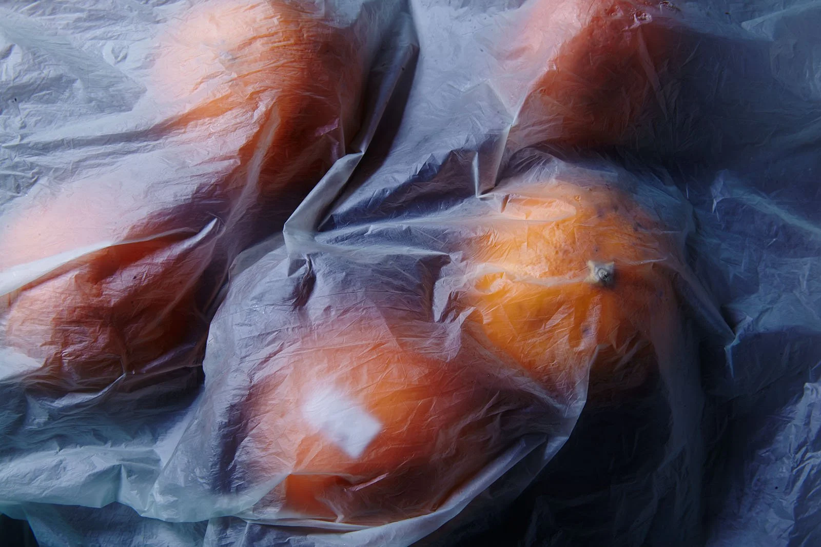 TEST - haute cuisine0179 3.jpg