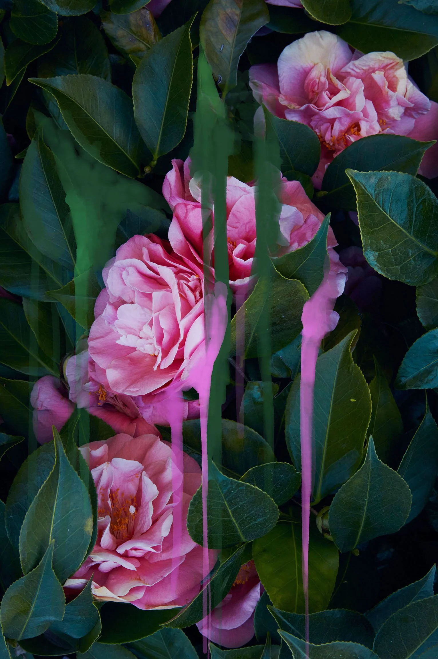 My document (36).jpg