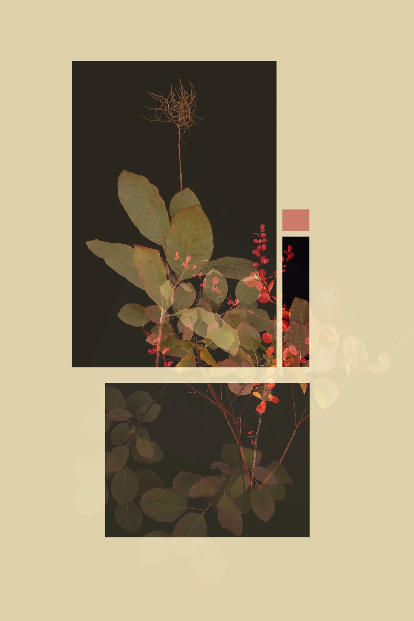 TEST - hanging plants0587.jpg