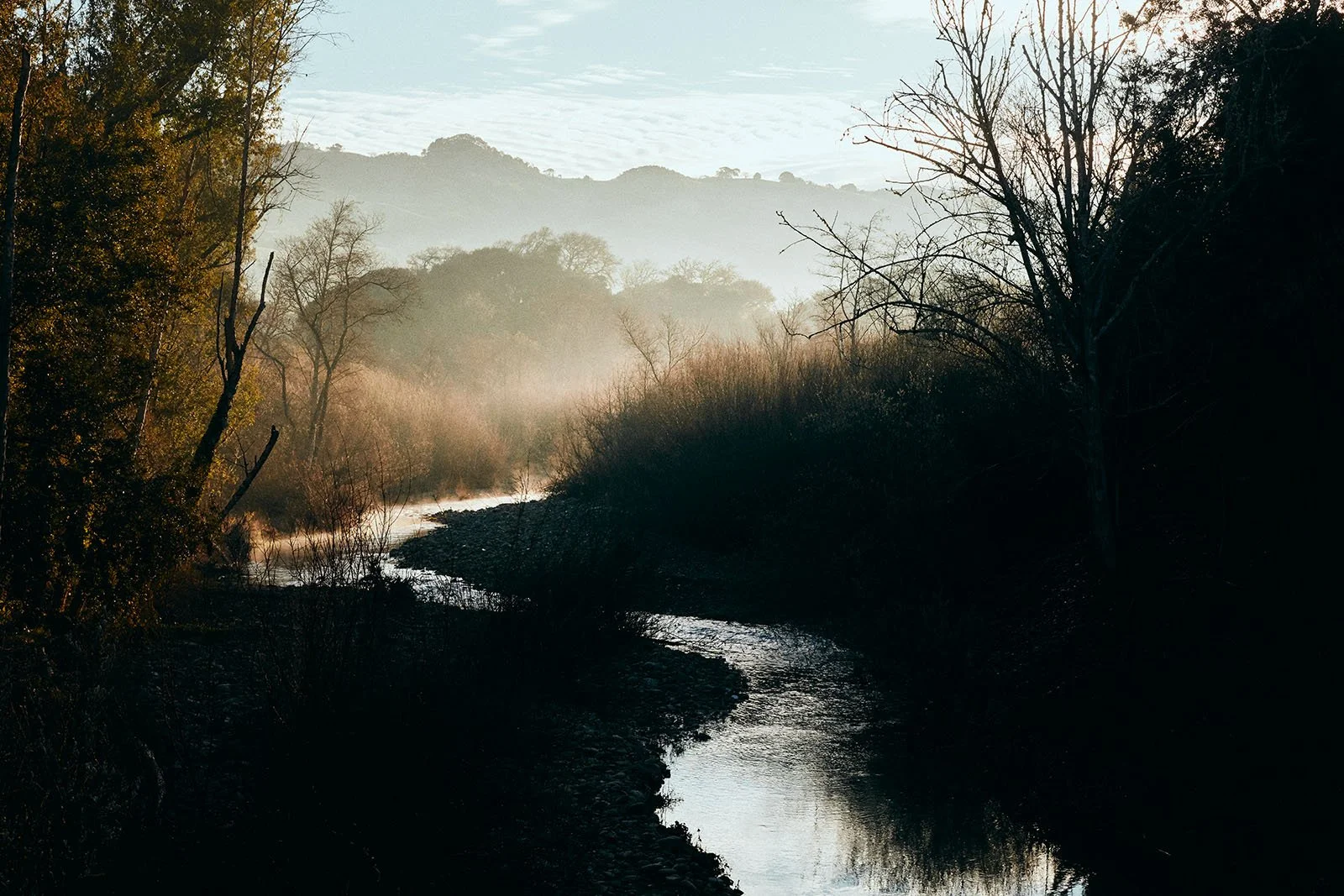 farnum-mendo-D2- 369.jpg