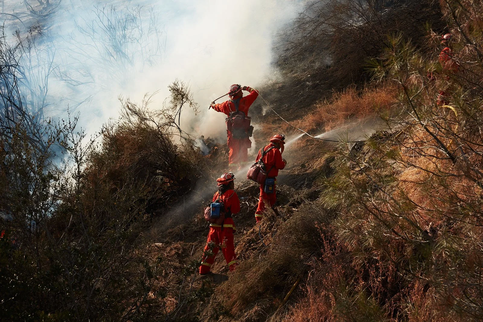 TEST-burned-D1- 157 2.jpg