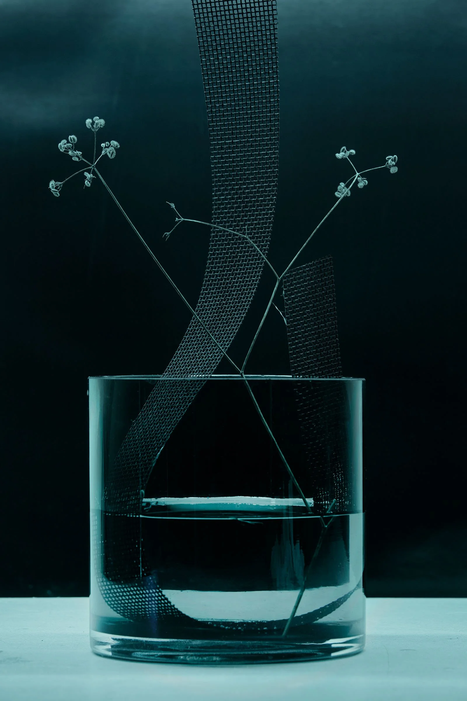 TEST-katrina-1199 1.jpg