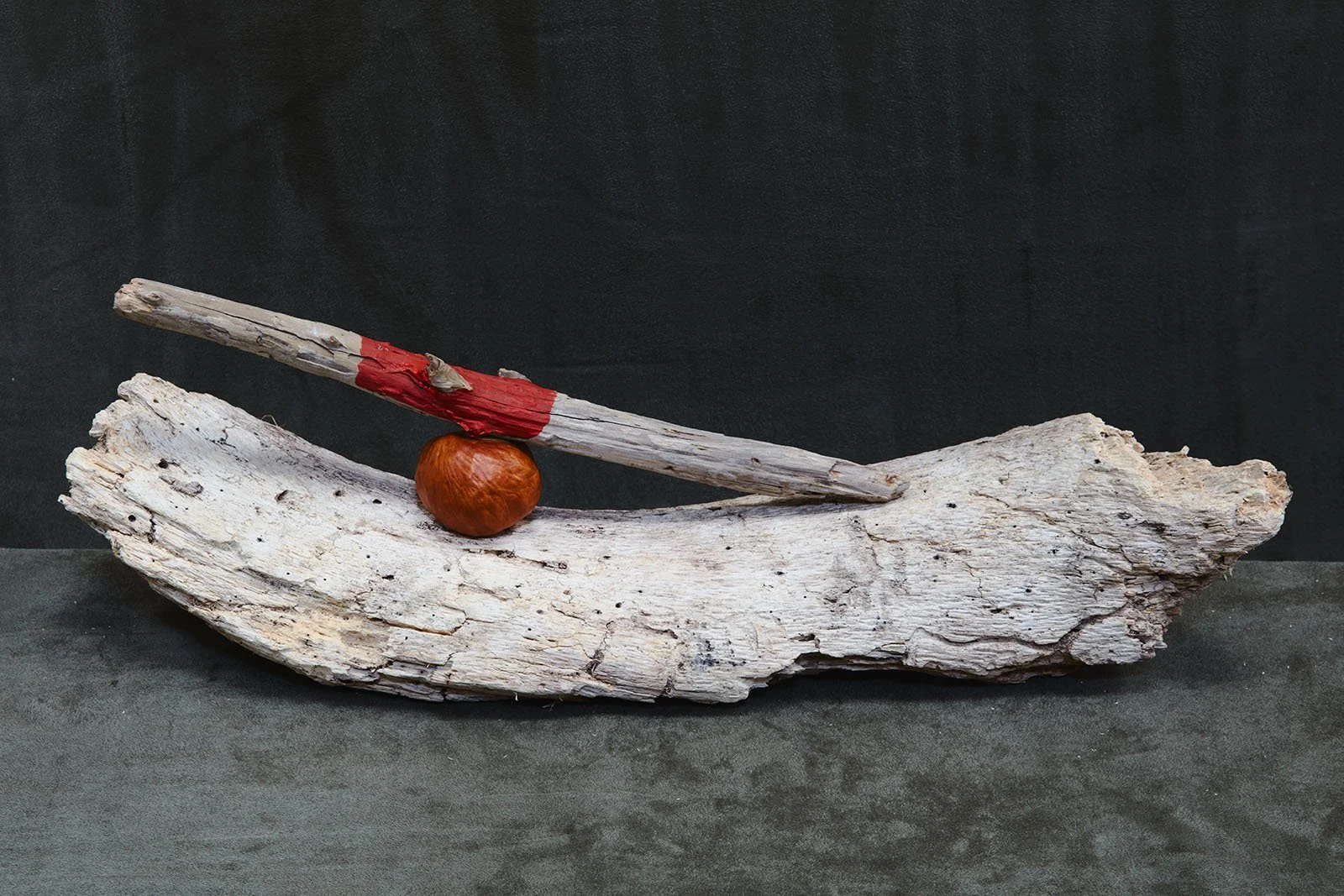 TEST - burnt plants0135.jpg