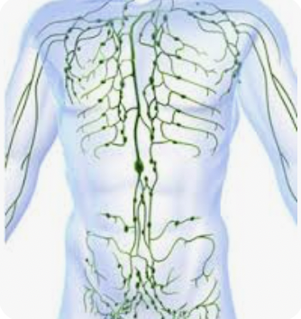 Coming Soon: Assisted Lymphatic Therapy (ALT)