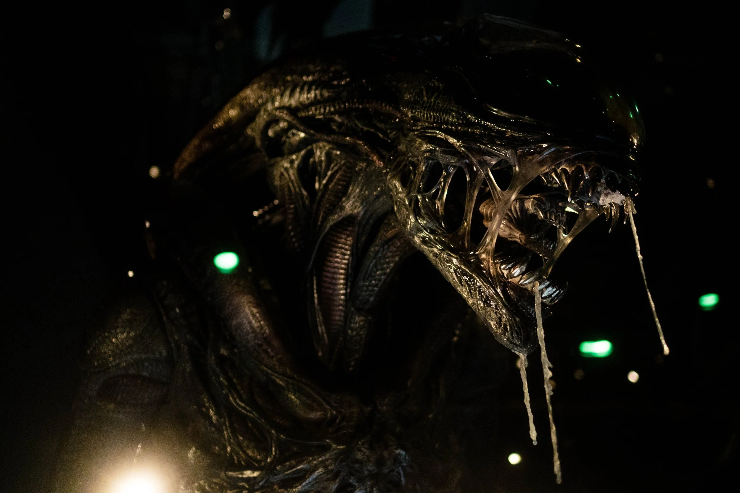 THE HORROR SHOW-23.jpg