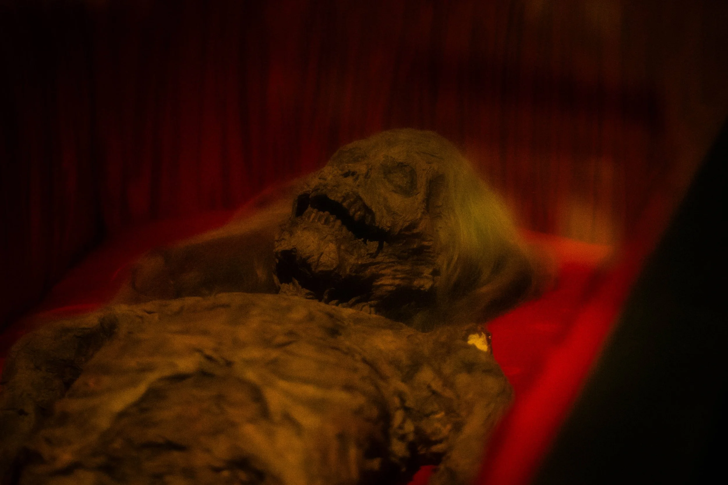 THE HORROR SHOW-58.jpg