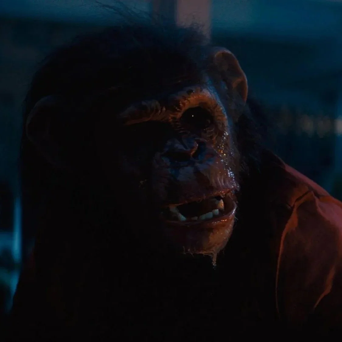 ‘Primate’ (2025) is a hairball covered in blood that’ll have you jumping