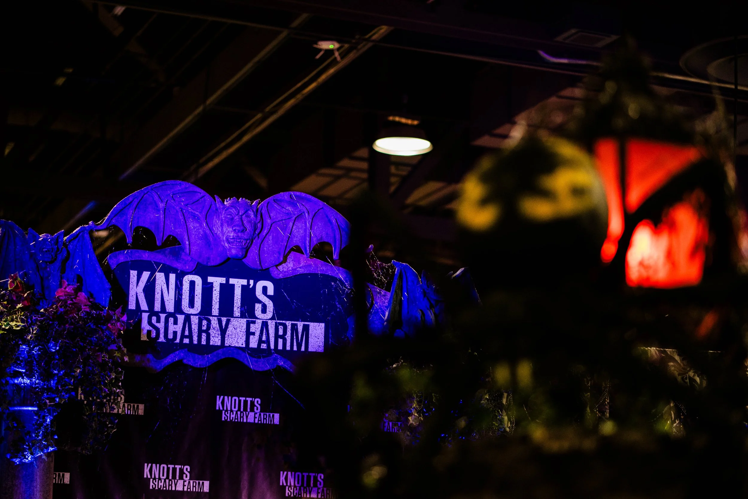 MIDSUMMER SCREAM-25.jpg