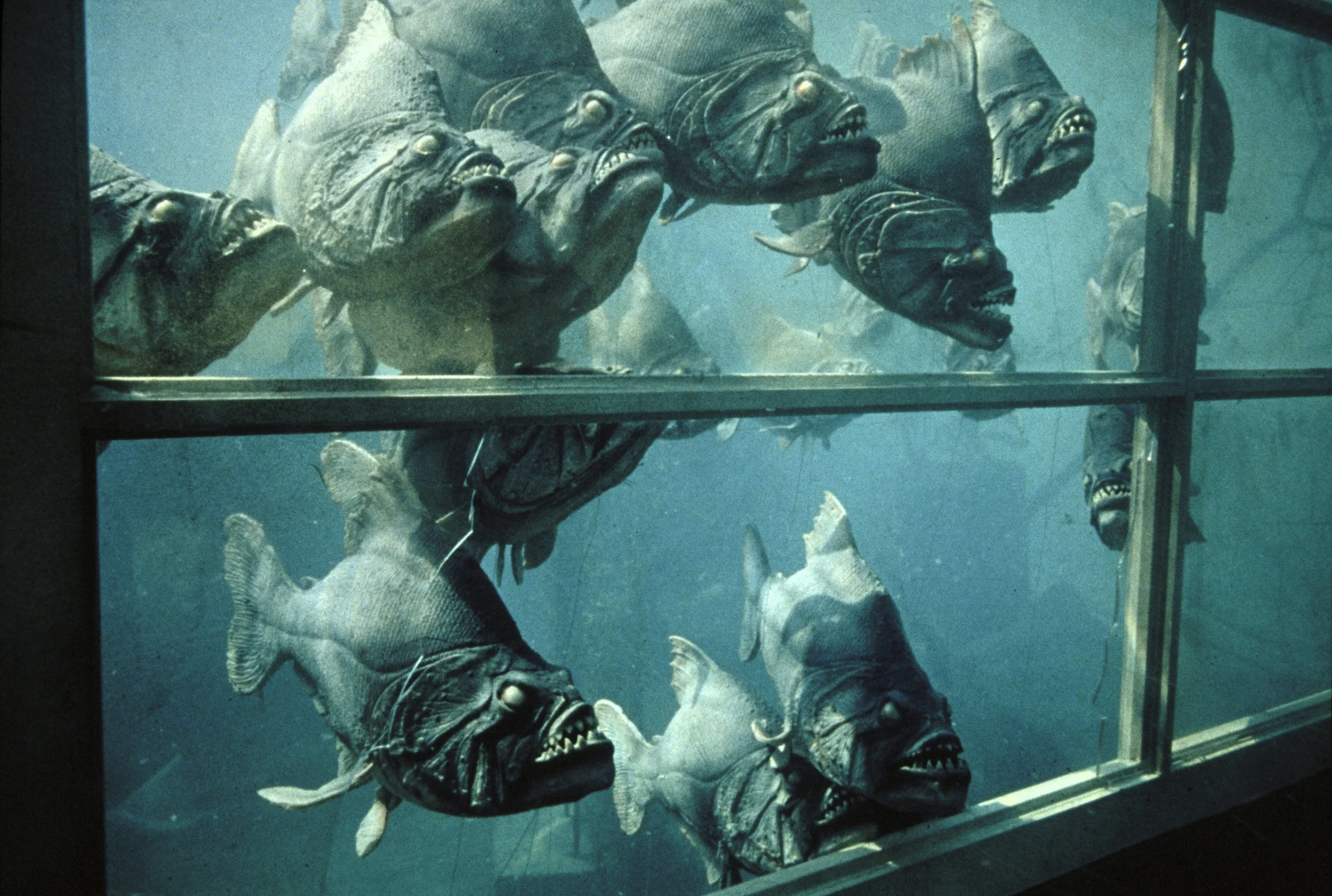 Piranha sequel to be set in Japan