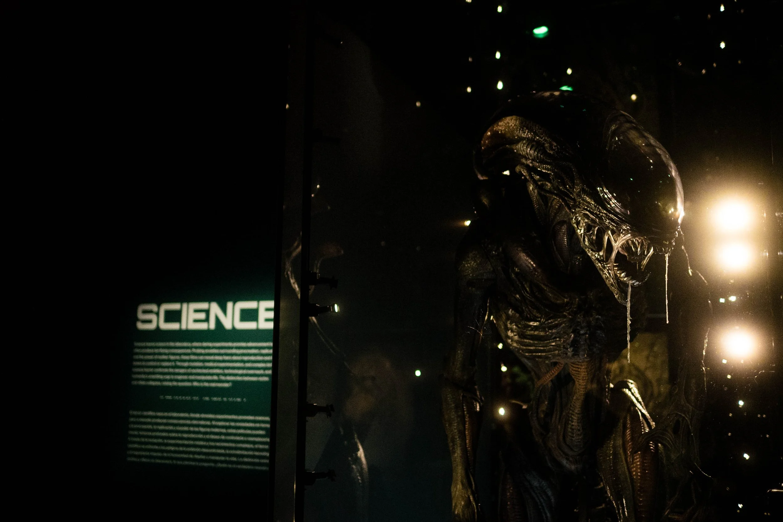 The Horror Show exhibit features over 100+ detailed props, masks, polaroid’s and more!