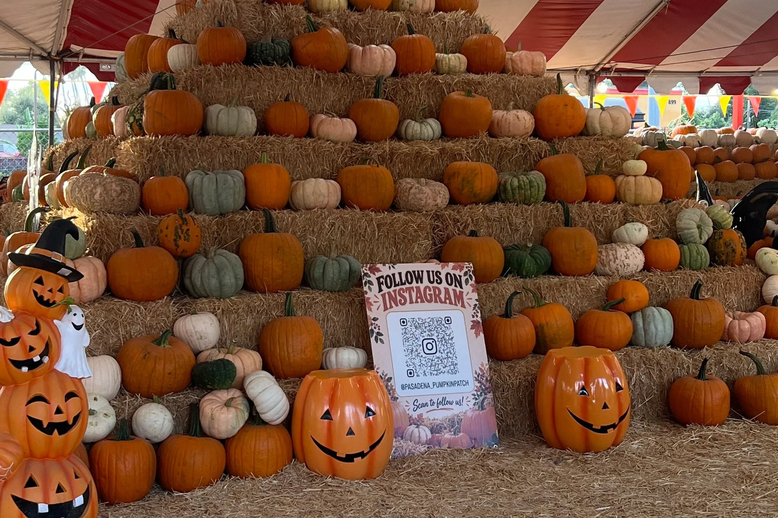 Taghavi Farms brings SoCal pumpkin patch fun