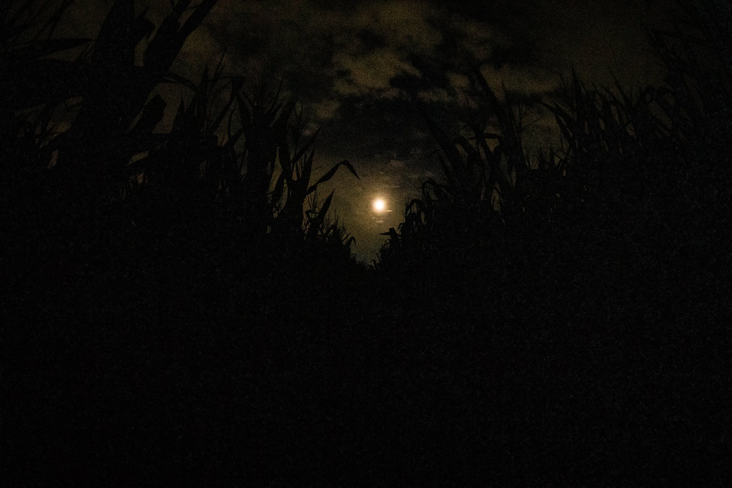 HAUNTED HARVEST-17.jpg