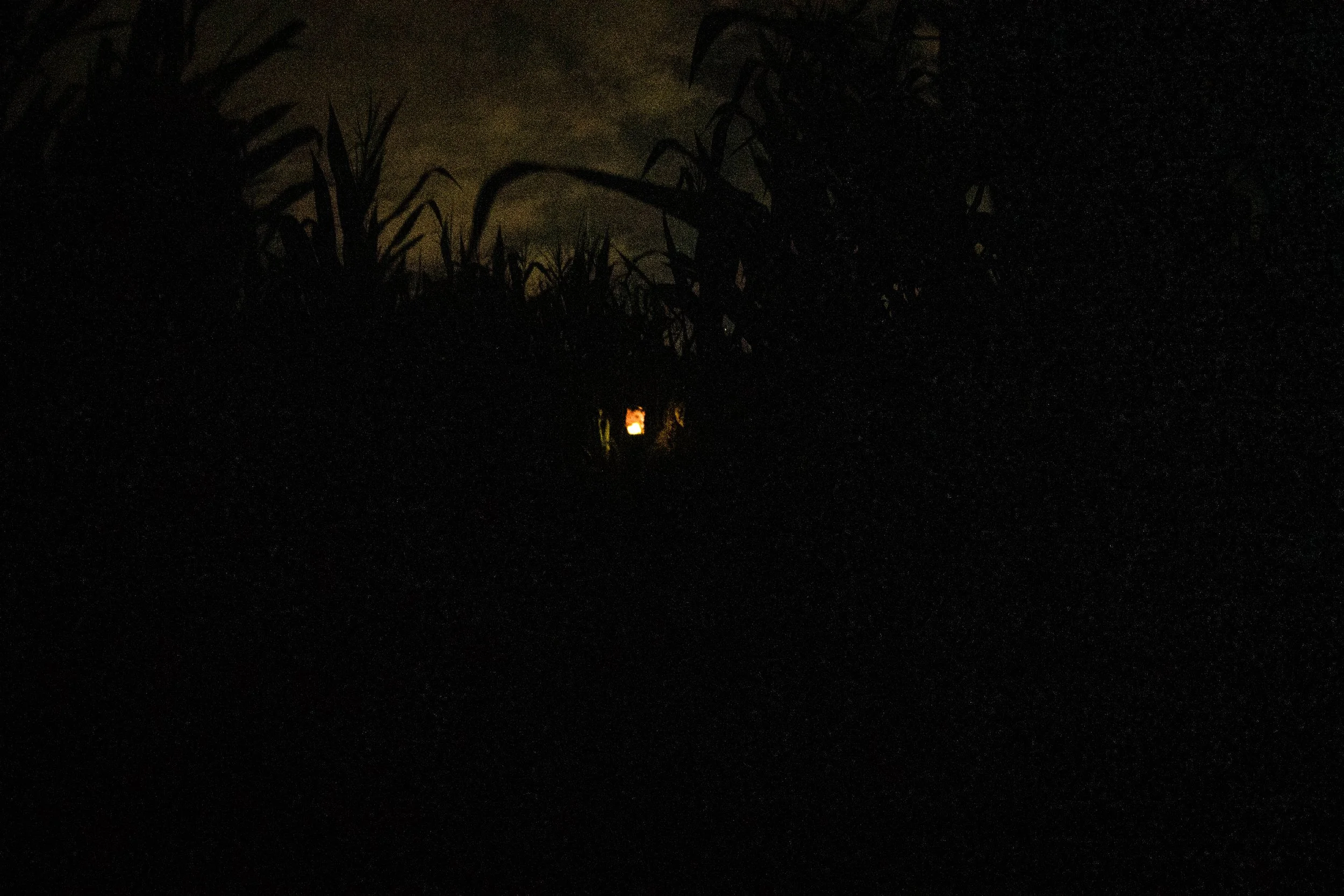 HAUNTED HARVEST-18.jpg