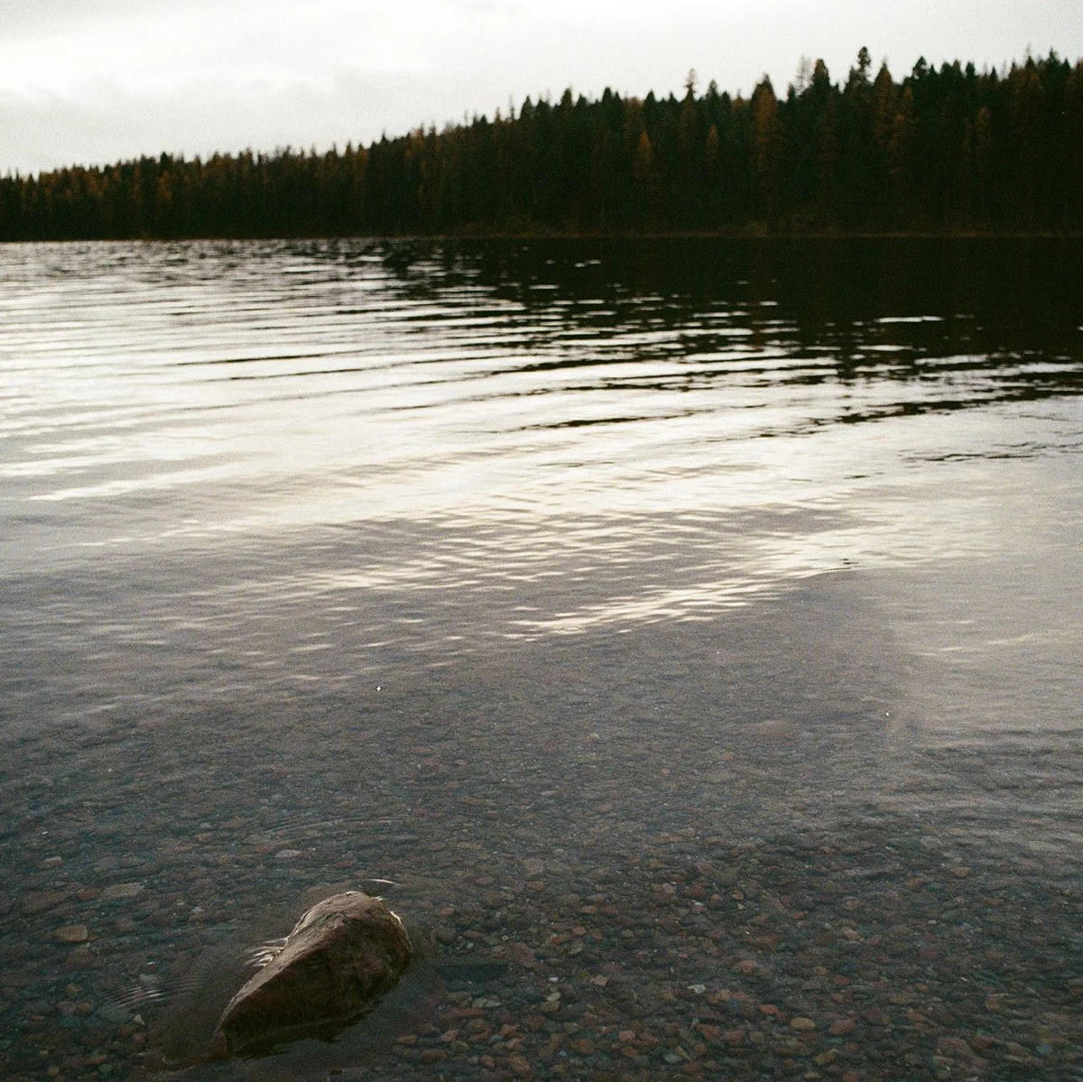 A calm lake with a rocky shore and a forested landscape in the background under an overcast sky.