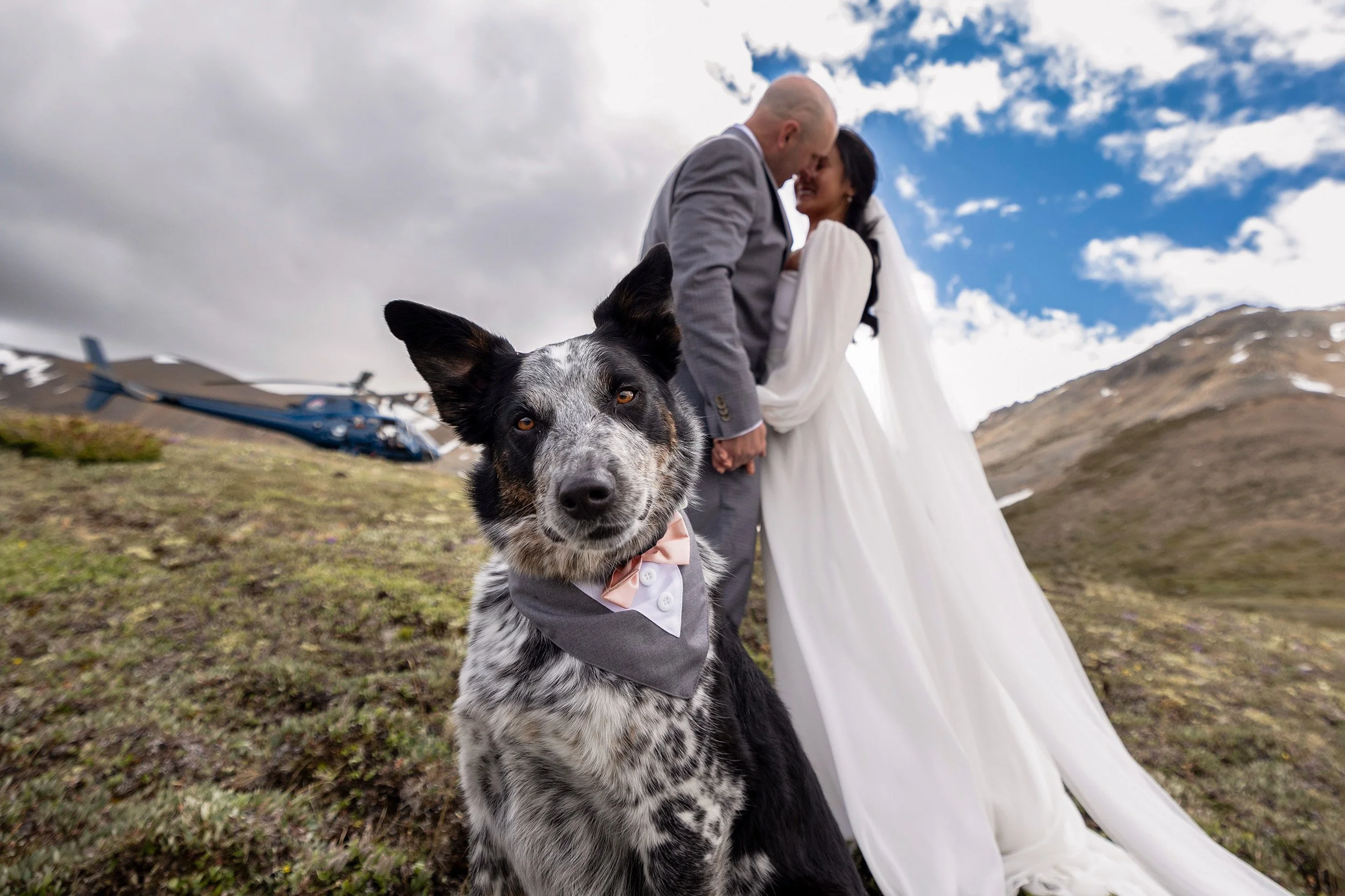 helicopter to elopement in the Canadian Rockies, Nordegg, Alberta 