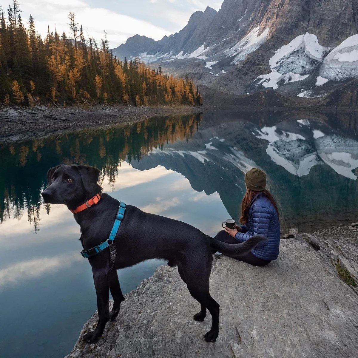 A woman sitting on a rock by a calm mountain lake with a black dog in the foreground. The woman is holding a mug and looking at the snow-capped mountains reflected in the water. The scene is surrounded by a forest of trees with golden foliage.