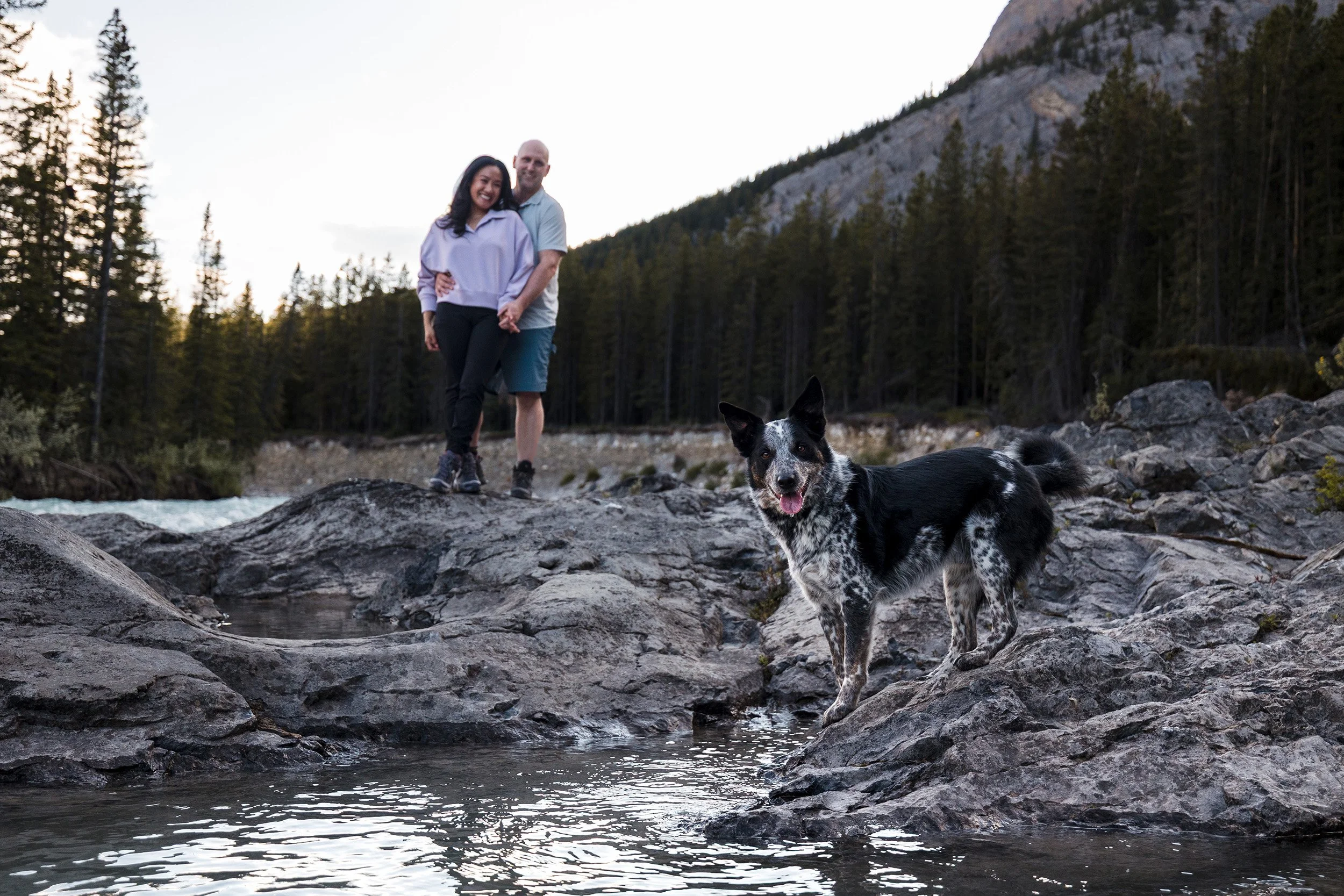 engagement photos in Nordegg with dog 