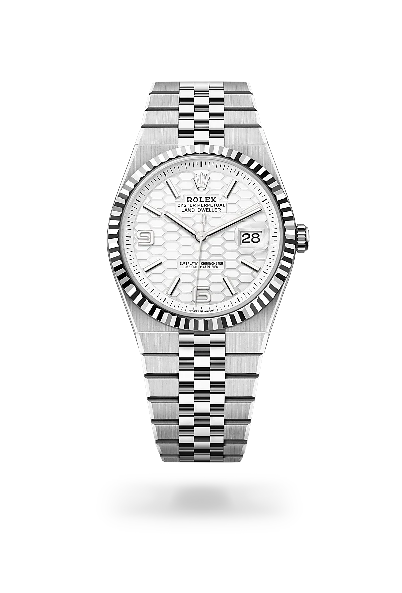 Rolex Land Dweller in Oystersteel & White Gold (40mm) .webp